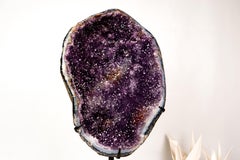 Large Brazilian Amethyst Geode Cluster with Galaxy Druzy & Polished Agate Border