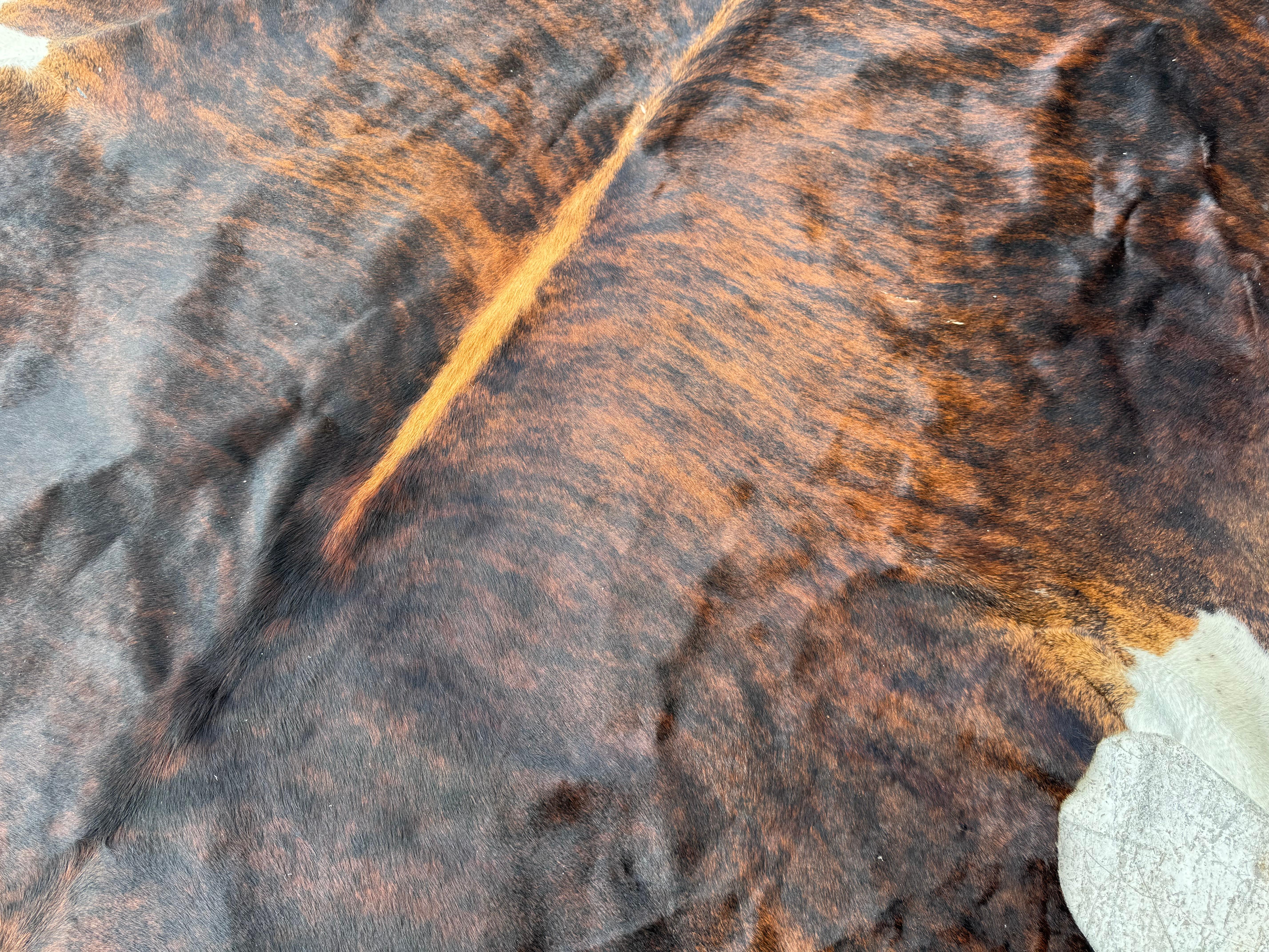 Großes brasilianisches Kuhfell/Teppich (Land)