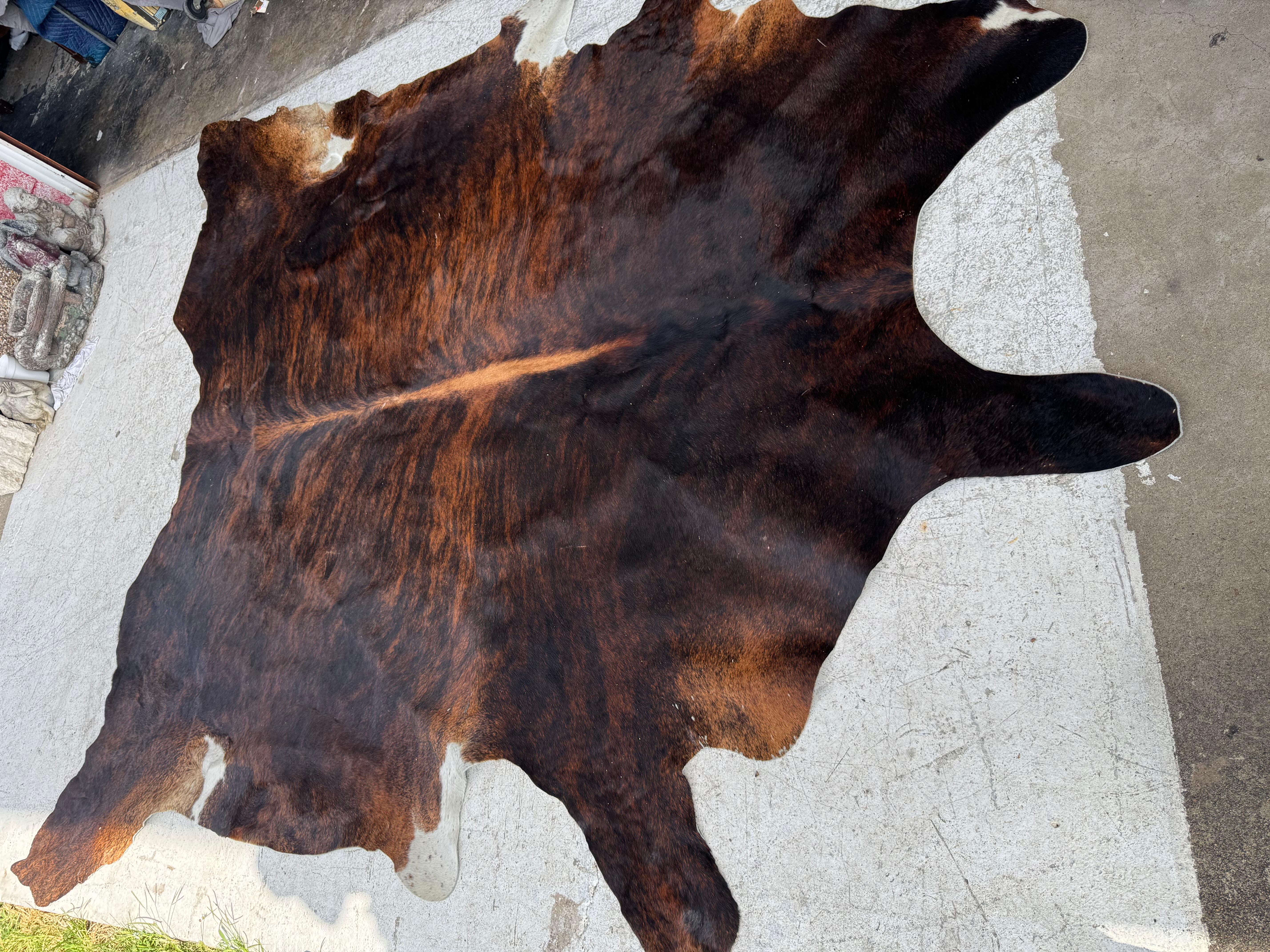 Großes brasilianisches Kuhfell/Teppich (Brasilianisch)