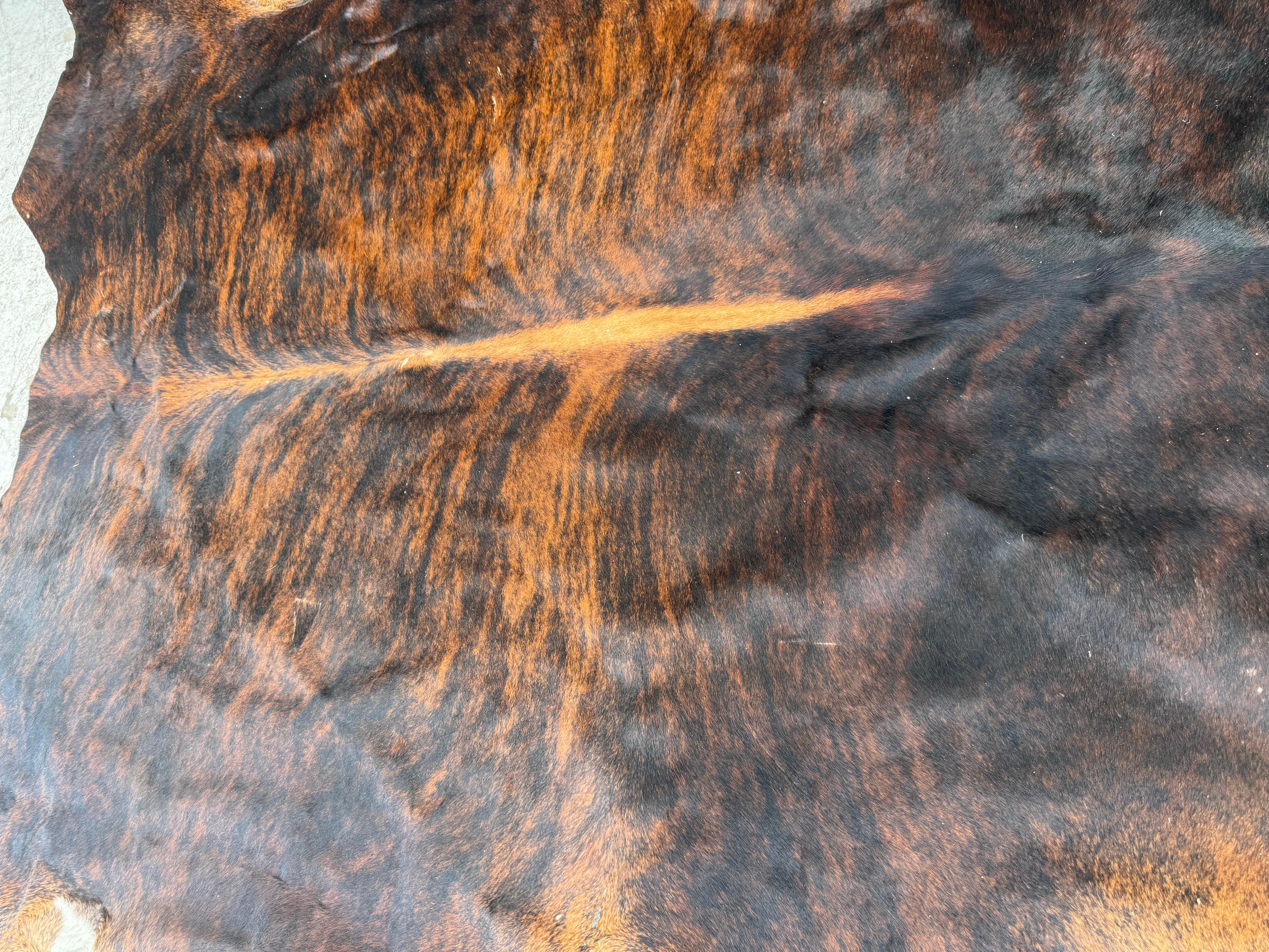 Großes brasilianisches Kuhfell/Teppich im Zustand „Gut“ in Pasadena, TX