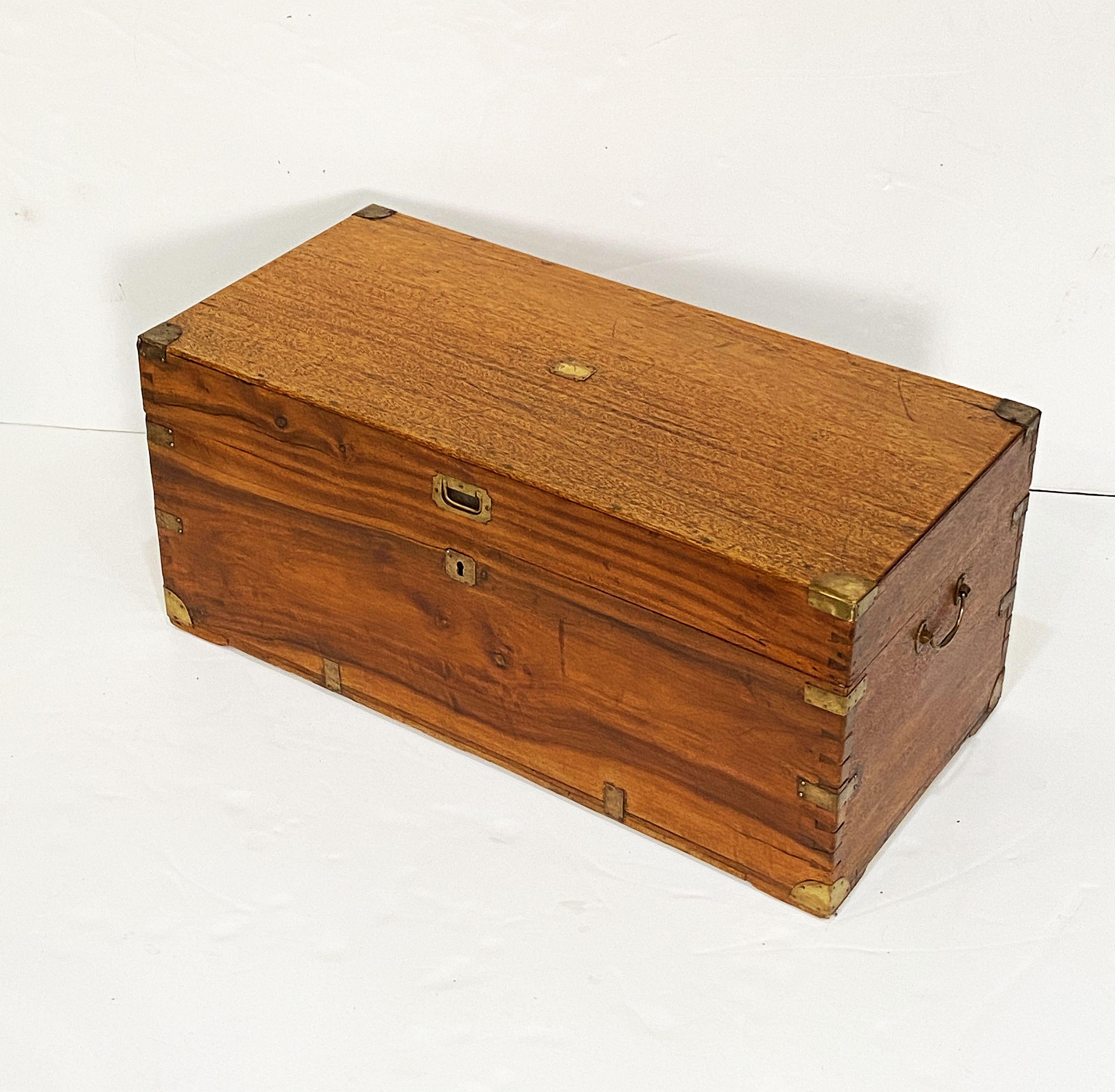A large handsome rectangular British military officer's Campaign trunk of camphorwood featuring hand-cut brass binding and hardware, with interior compartments, and resting on bracket feet.

Campaign-era trunks and coffers were the travel items of