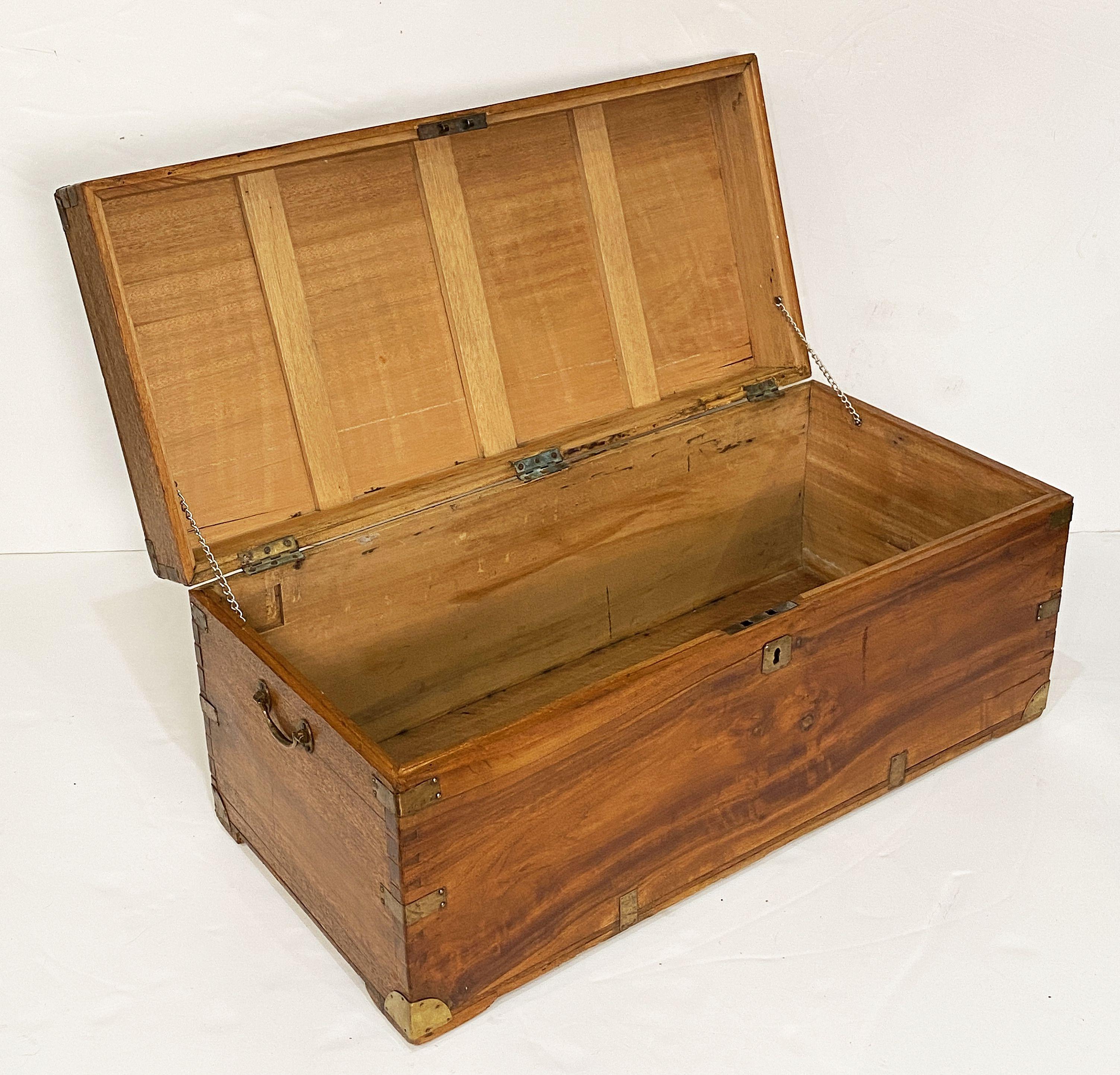 Metal Large British Military Officer's Campaign Trunk of Brass-Bound Camphor For Sale