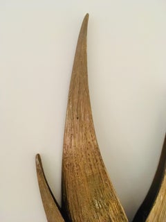 Large Bronze Chrystiane Charles Wall Light