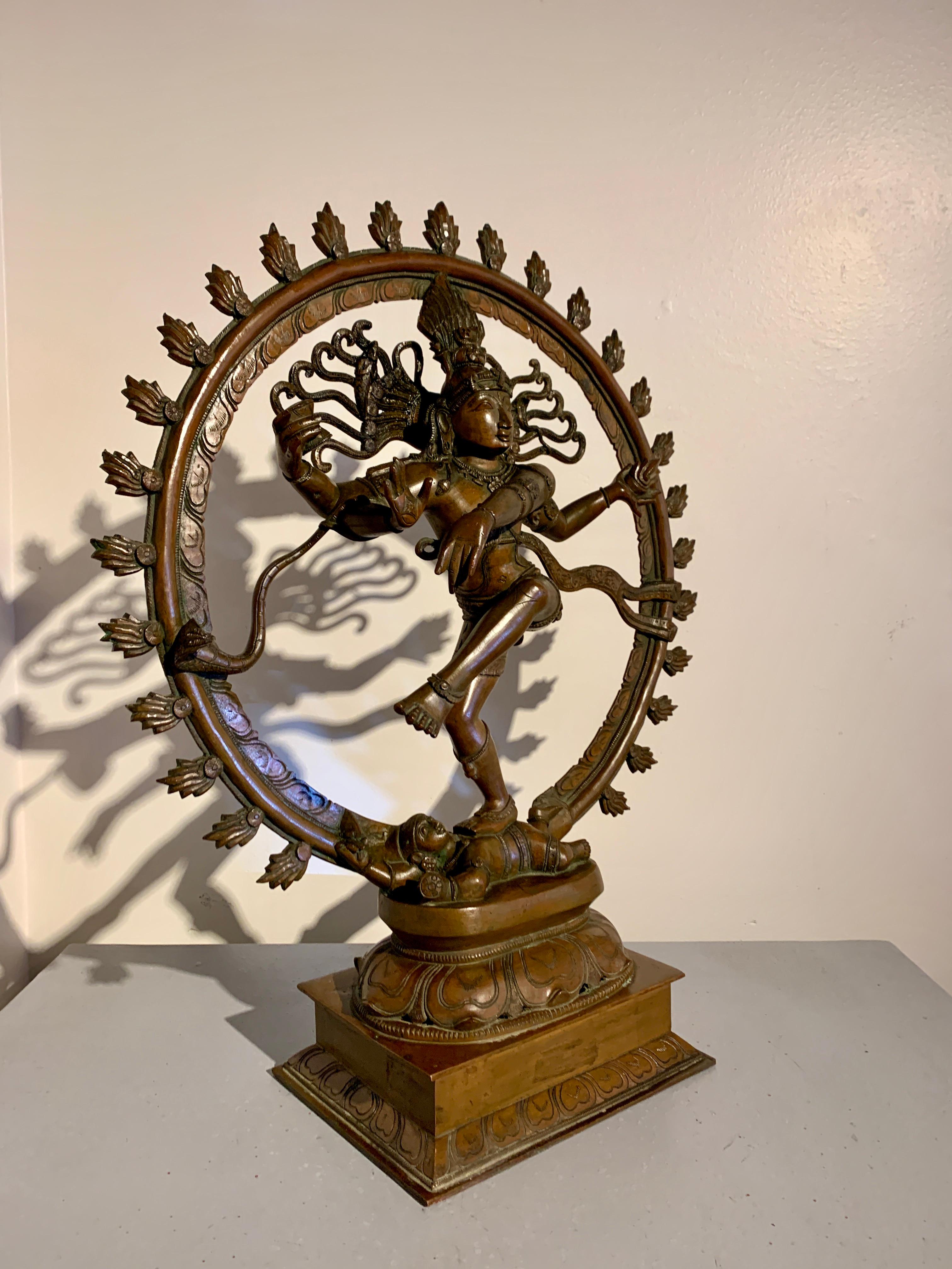 Indien Grand Shiva dansant en bronze, Nataraja, 19e/20e siècle, Inde du Sud en vente