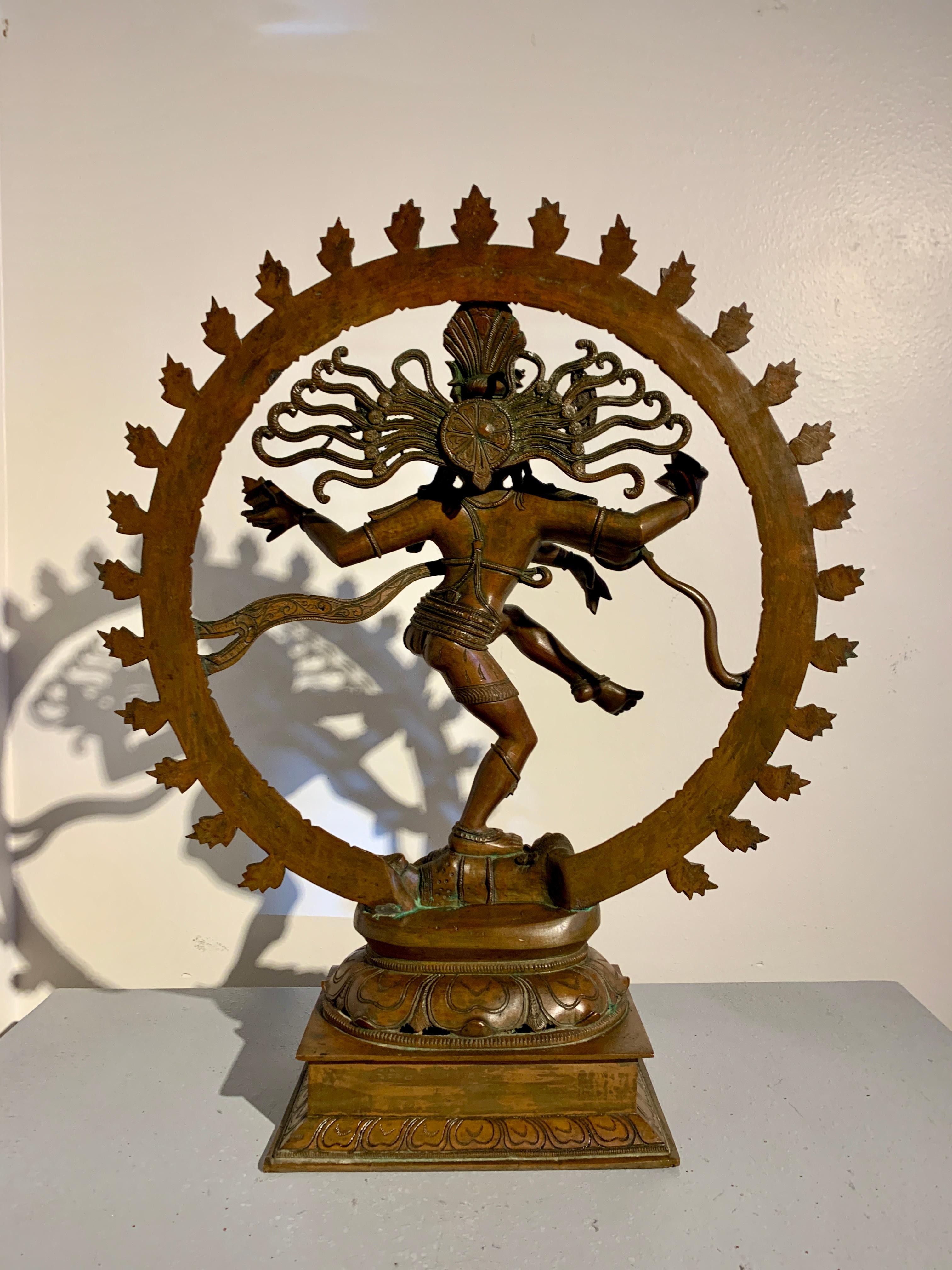 Grand Shiva dansant en bronze, Nataraja, 19e/20e siècle, Inde du Sud Bon état - En vente à Austin, TX