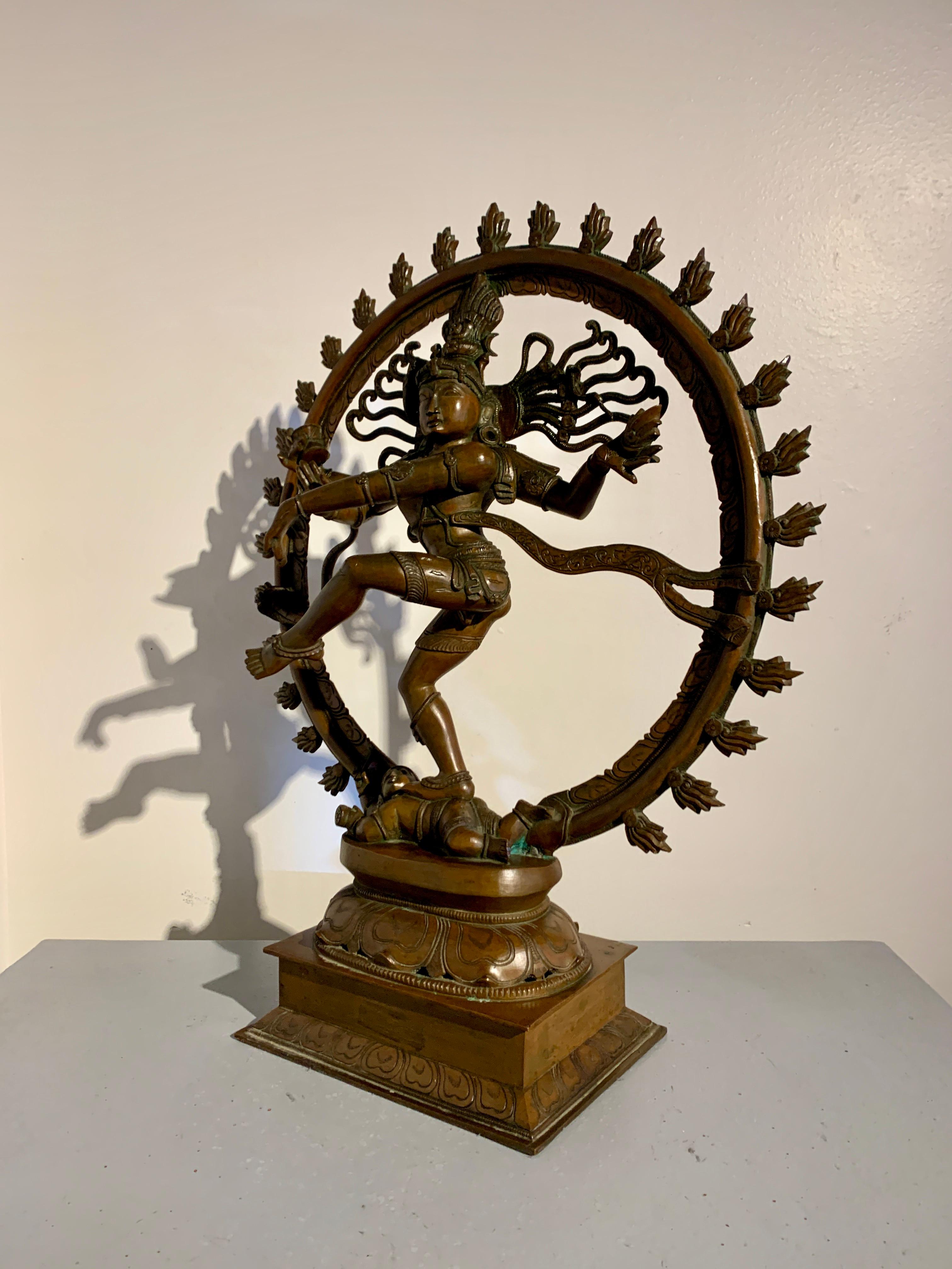 Début du 20ème siècle Grand Shiva dansant en bronze, Nataraja, 19e/20e siècle, Inde du Sud en vente