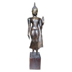 Large Bronze Golden Bronze Boudha of 19th Century on Solid Wood Base