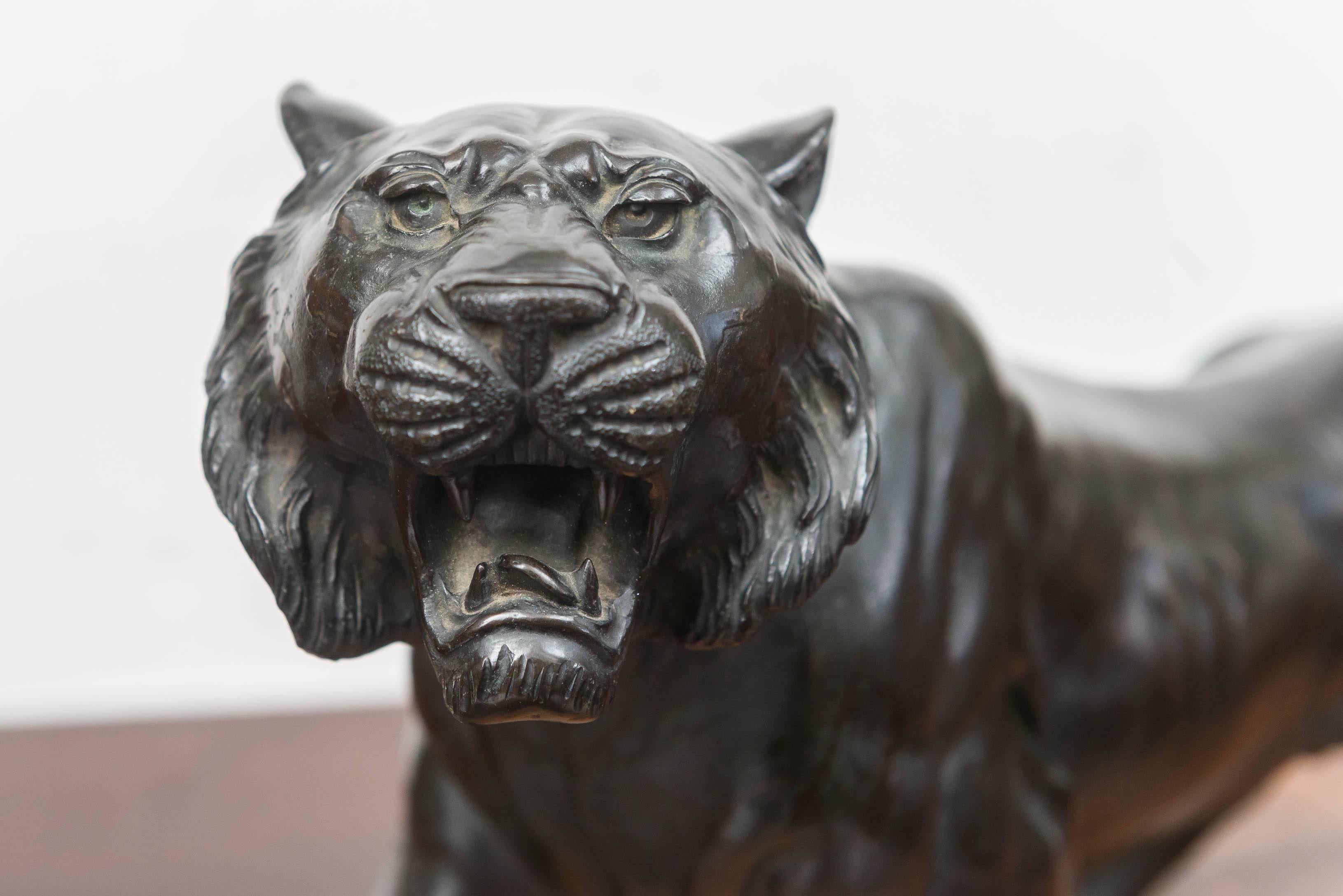 Large bronze Japanese Meiji period tiger on a natural carved wood base, circa 1890. Robust and energetic in a walking pose.
Textured stripes in subtle relief with an even dark brown patina. Carved, fitted, heavy wood base done in a natural style of