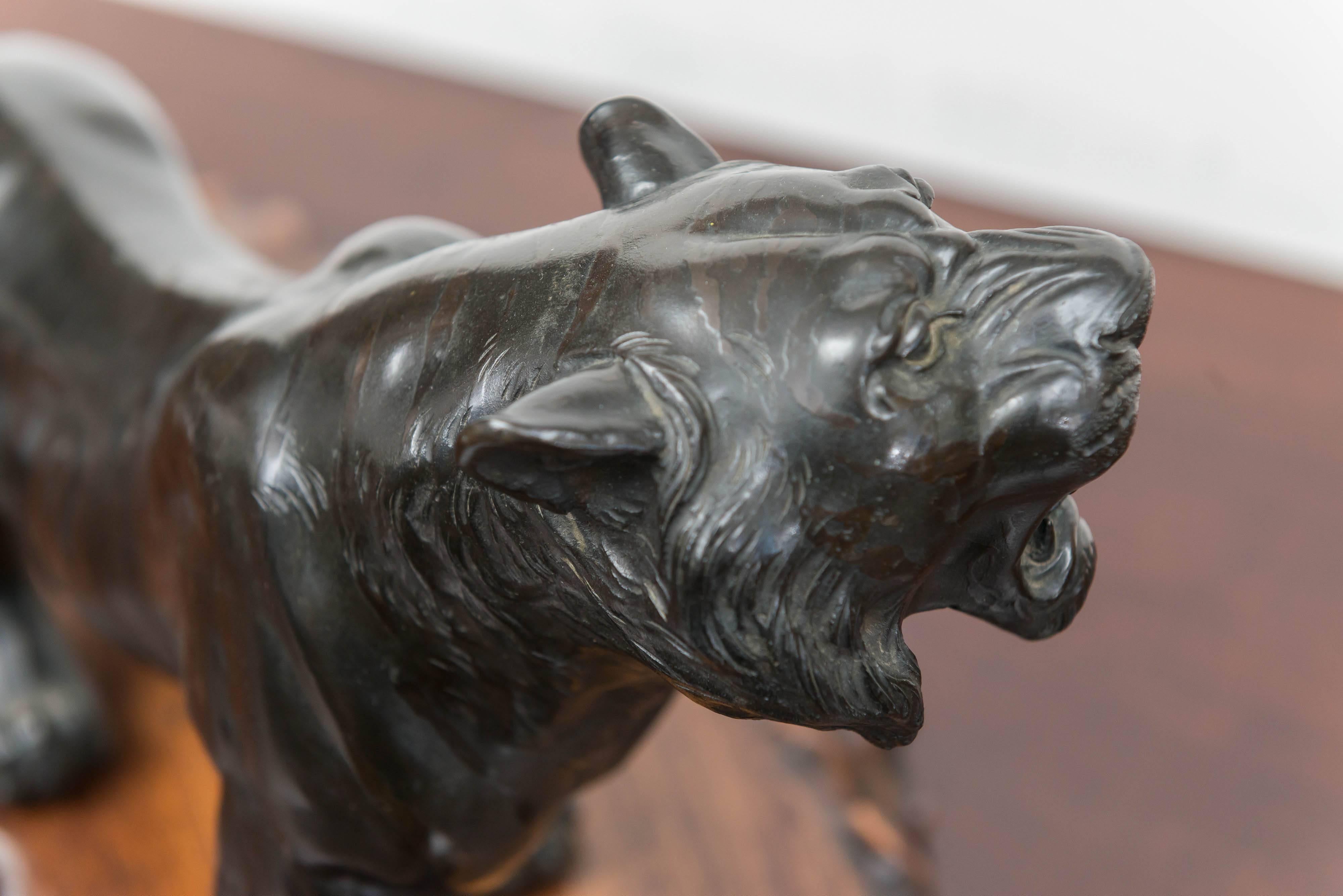 Late 19th Century Large Bronze Japanese Meiji Period Tiger on a Natural Carved Wood Base