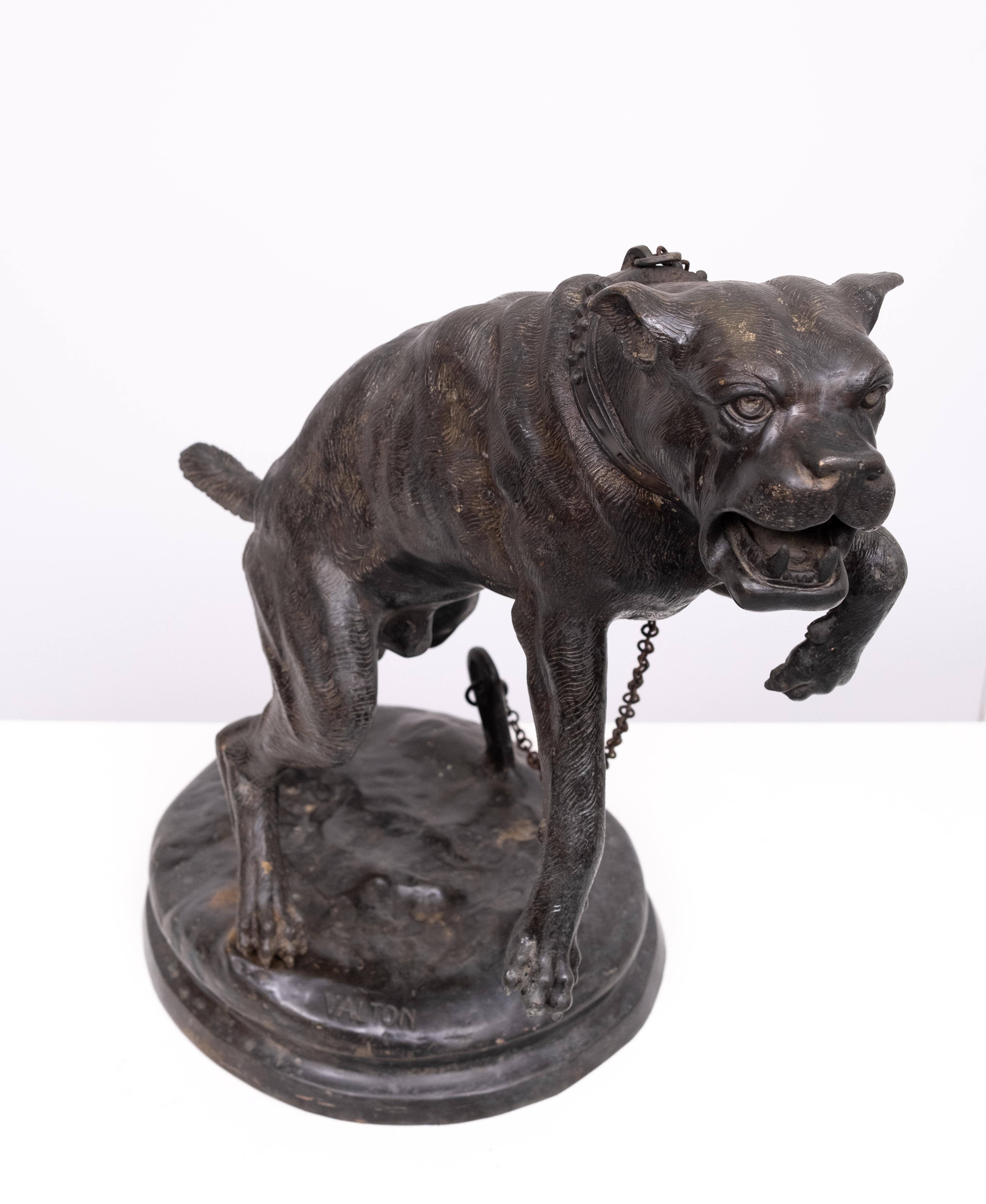 Perro mastín grande de bronce  Charles Valton  1890 Francia en venta 8