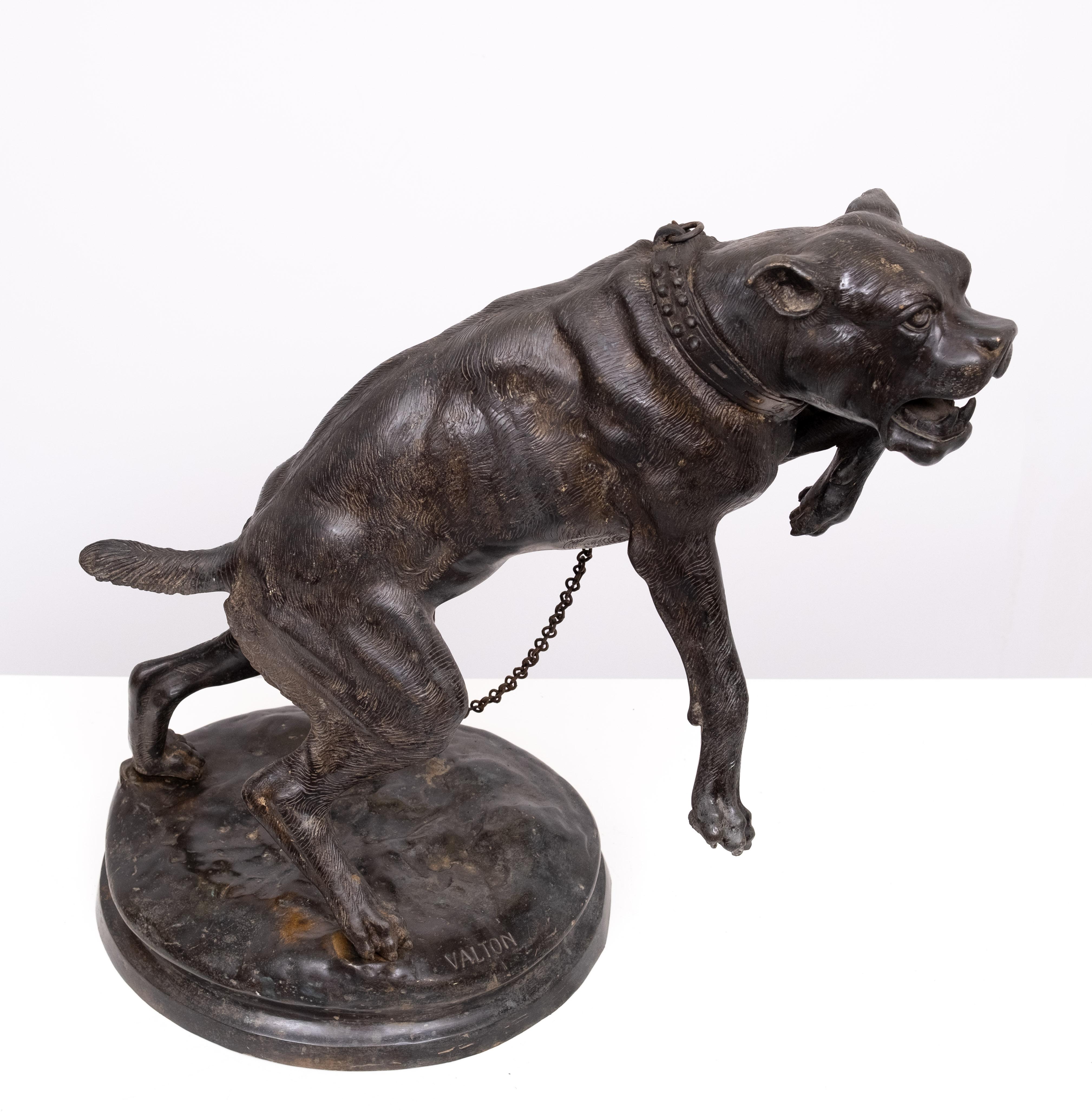 Perro mastín grande de bronce  Charles Valton  1890 Francia Victoriano en venta