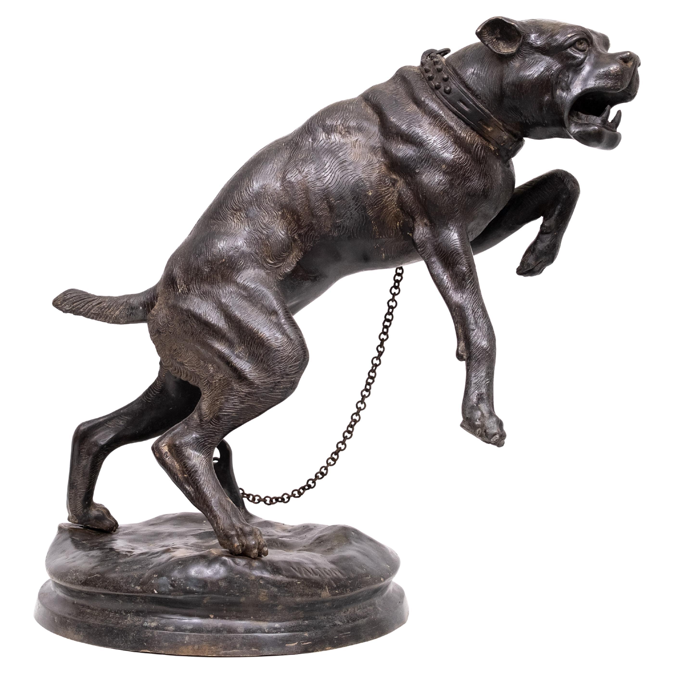 Cane mastino grande con affondo in bronzo  Charles Valton  1890 Francia