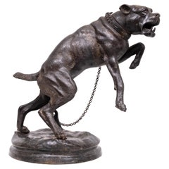 Large Bronze lunging Mastiff Dog  Charles Valton  1890 France