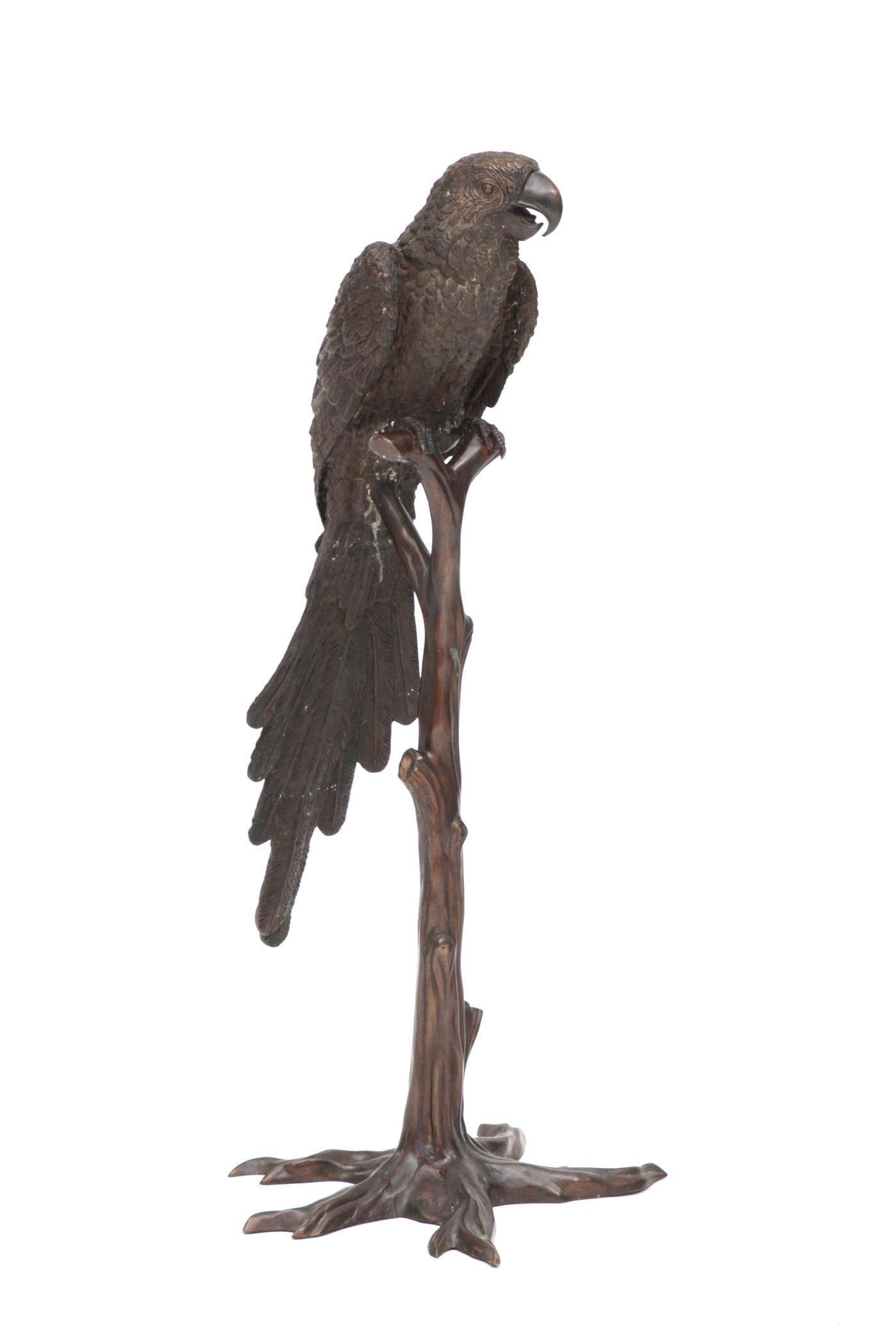 Grand bronze représentant un perroquet perché sur une branche d'arbre, apparemment non signé et en bon état, avec une patine brune chaude.