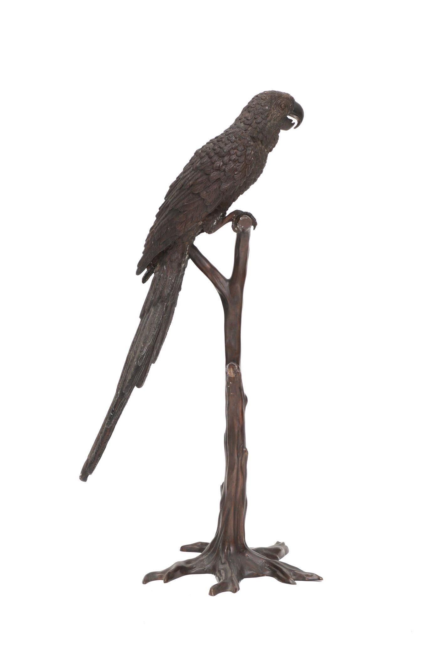 Bronze Grande sculpture de perroquet en bronze