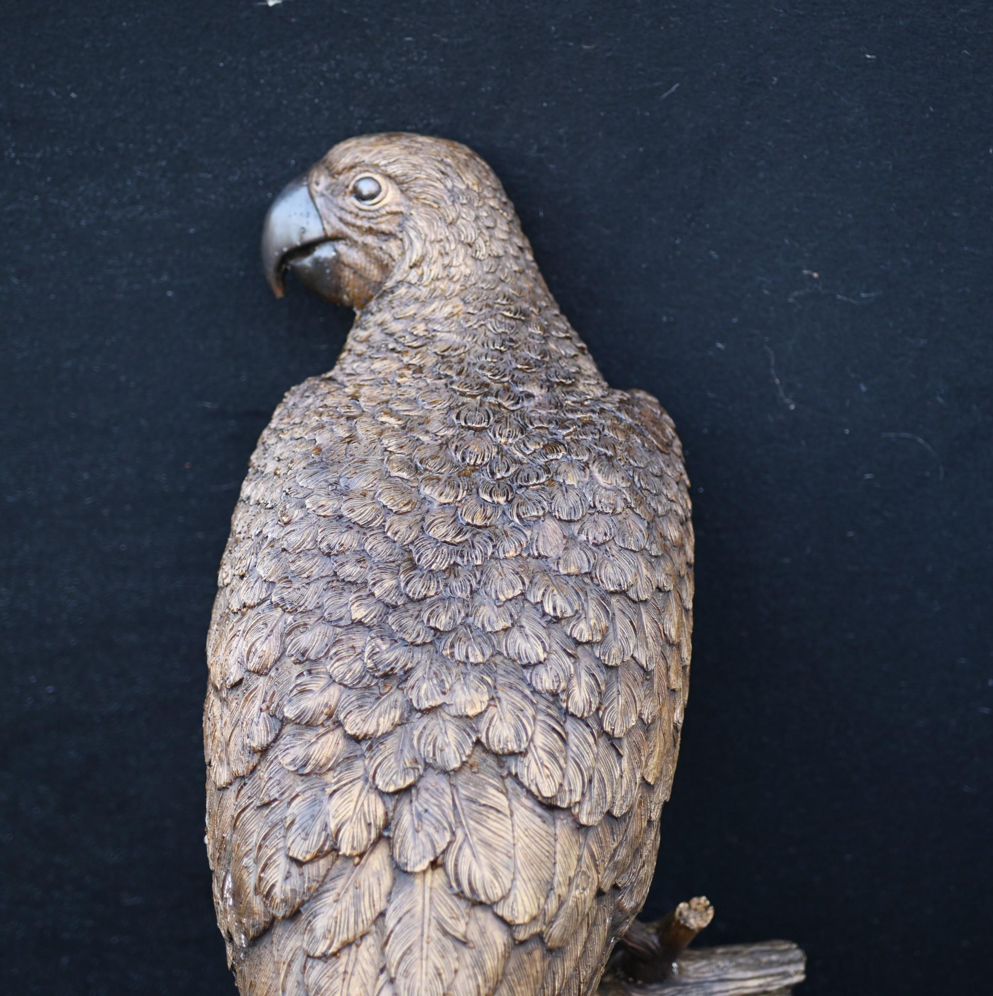 Large Bronze Parrot Statue Bird Branch Garden Casting 5