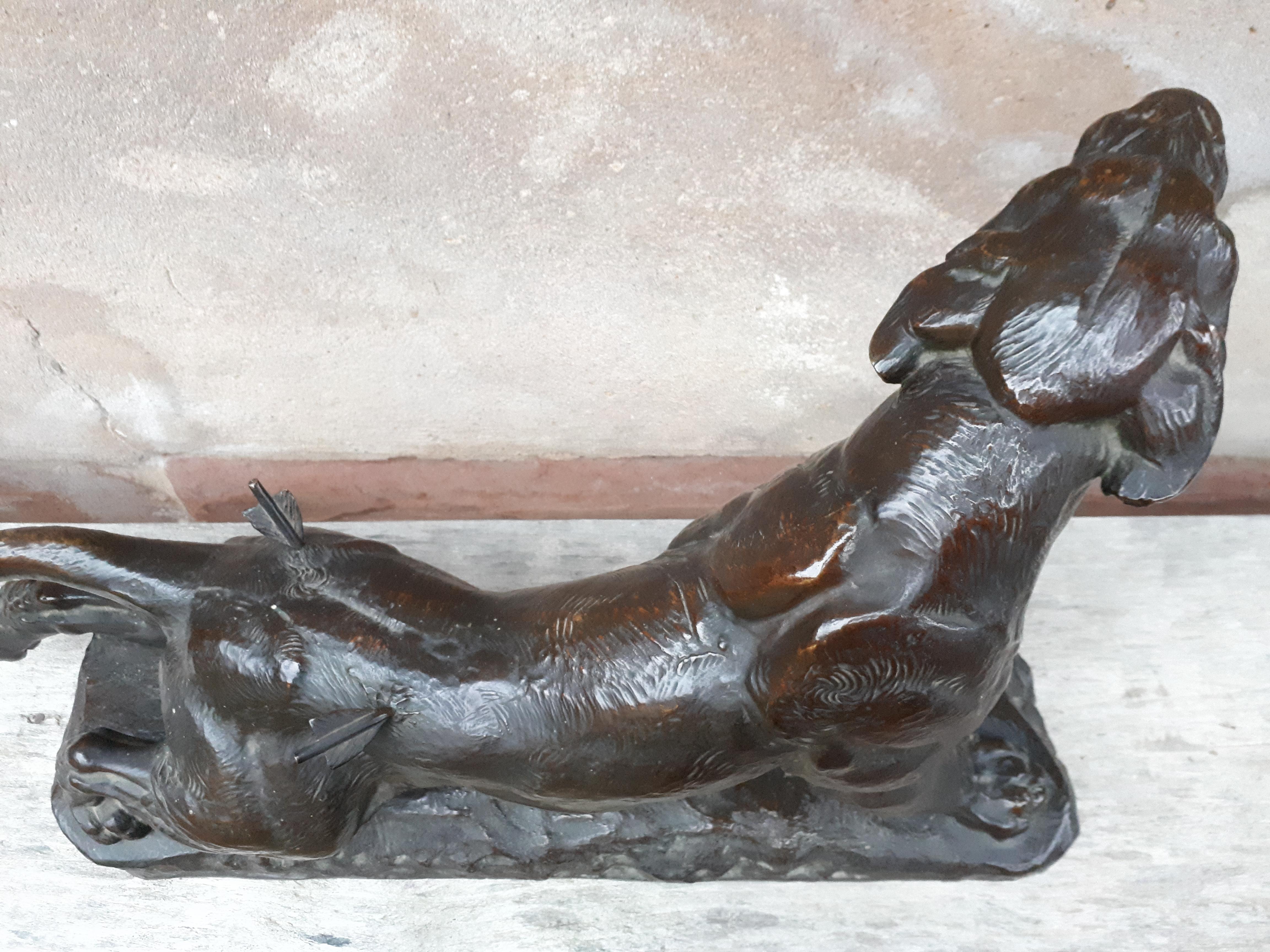Bronze Grande sculpture en bronze (68 carats) d'une lionne blessée, par Charles Valton, France  en vente