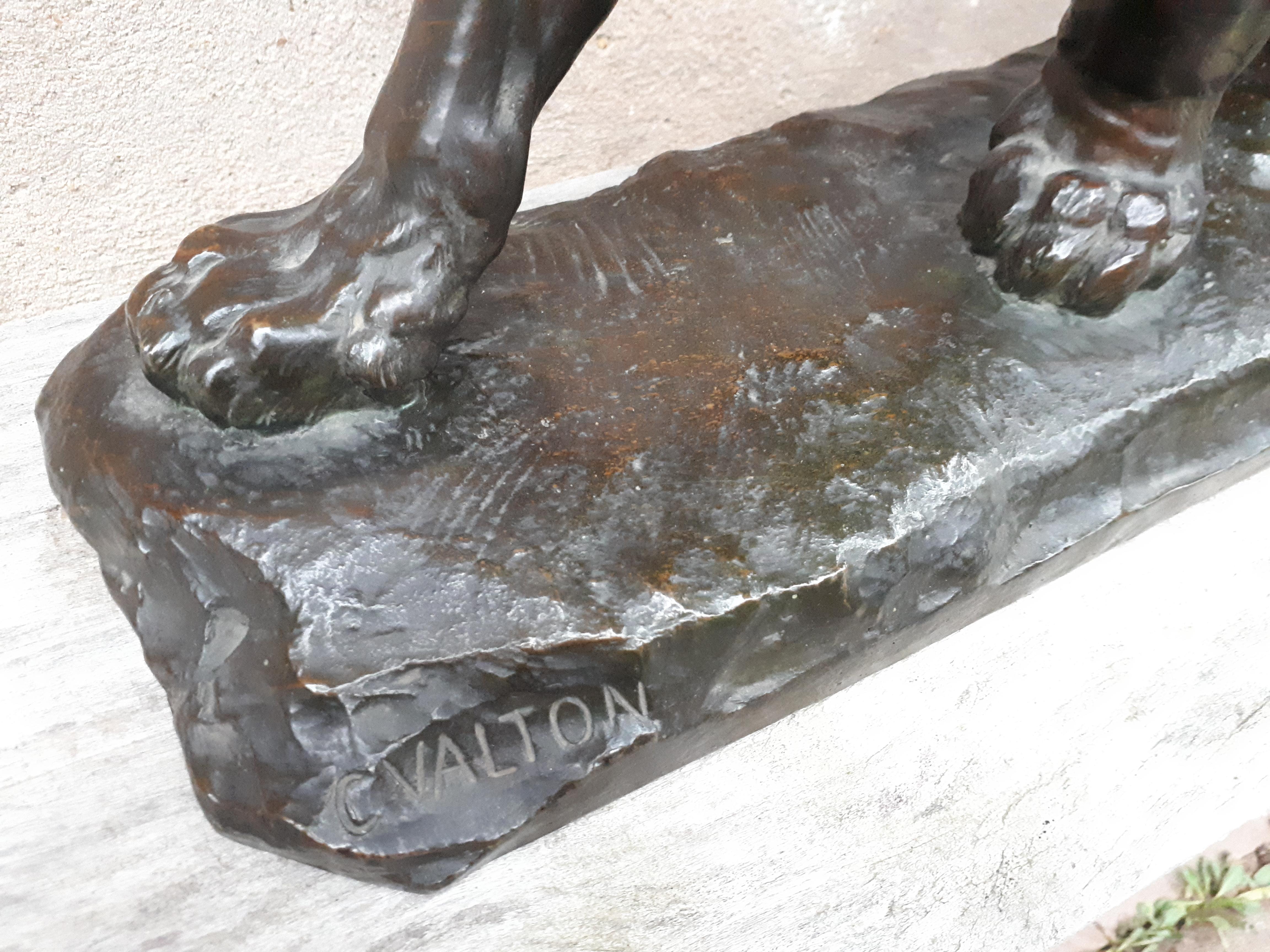 Napoleon III Large Bronze Sculpture of an Injured Lioness, by Charles Valton, France  For Sale