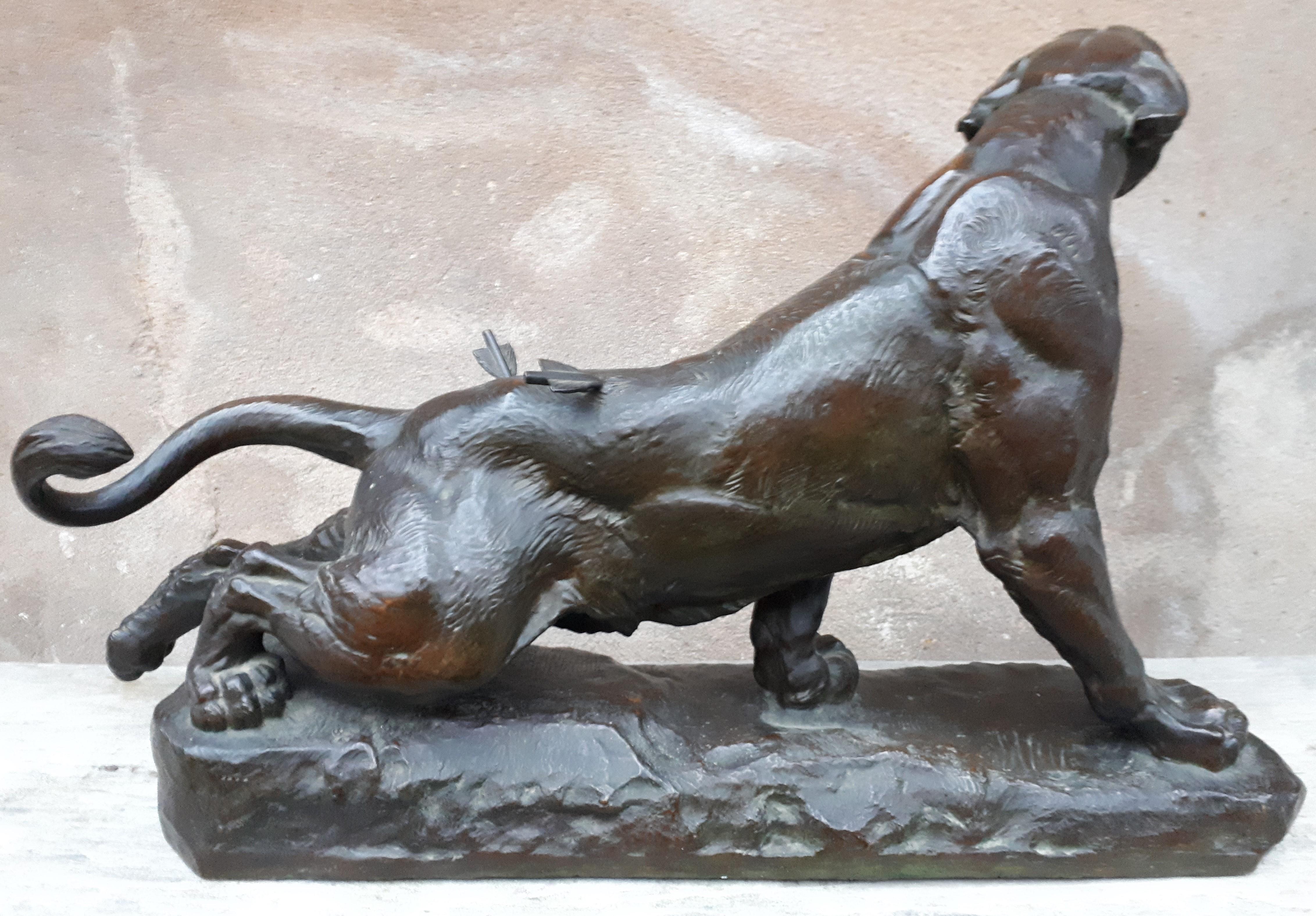 19th Century Large Bronze Sculpture of an Injured Lioness, by Charles Valton, France  For Sale