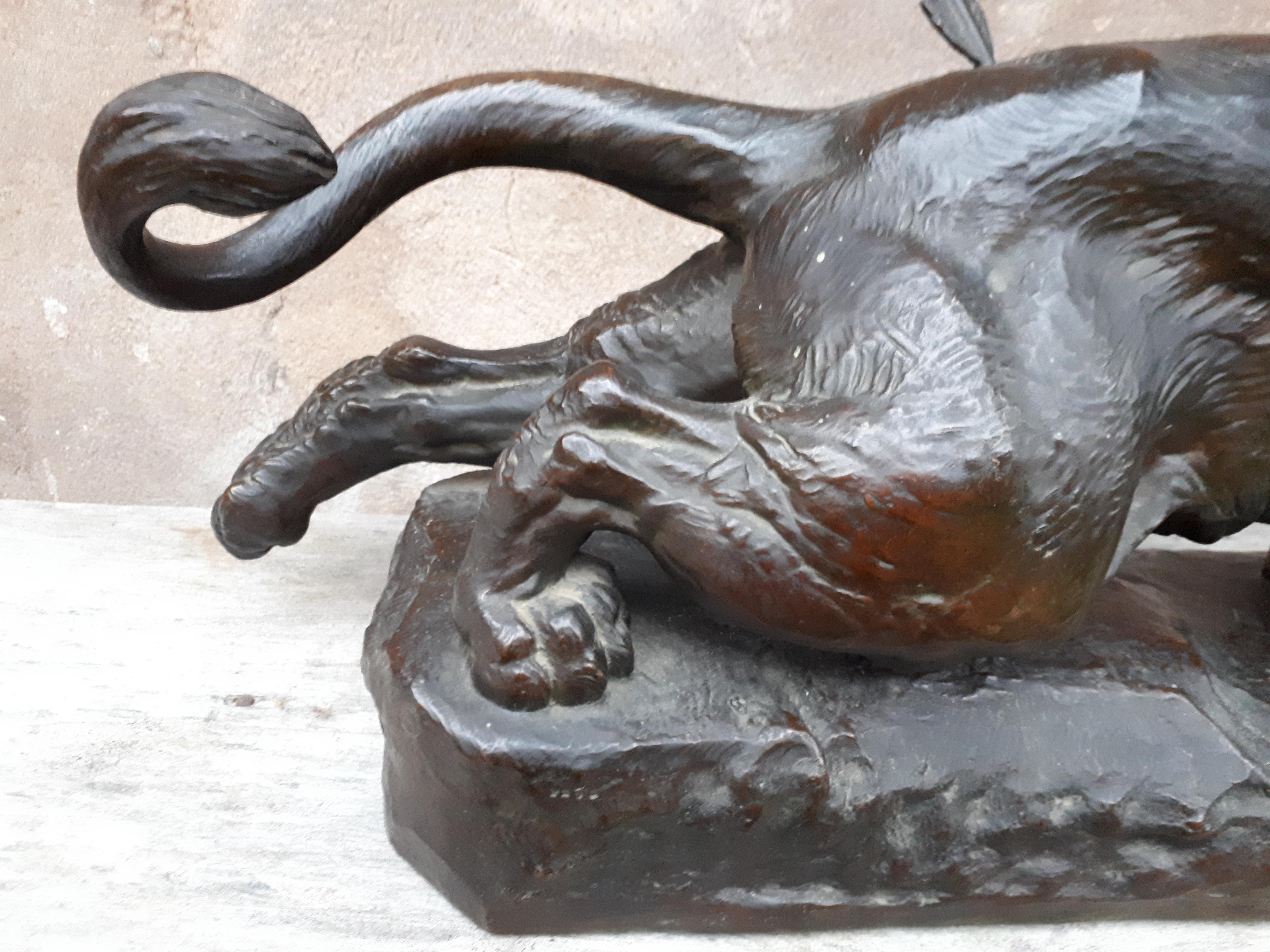 XIXe siècle Grande sculpture en bronze (68 carats) d'une lionne blessée, par Charles Valton, France  en vente