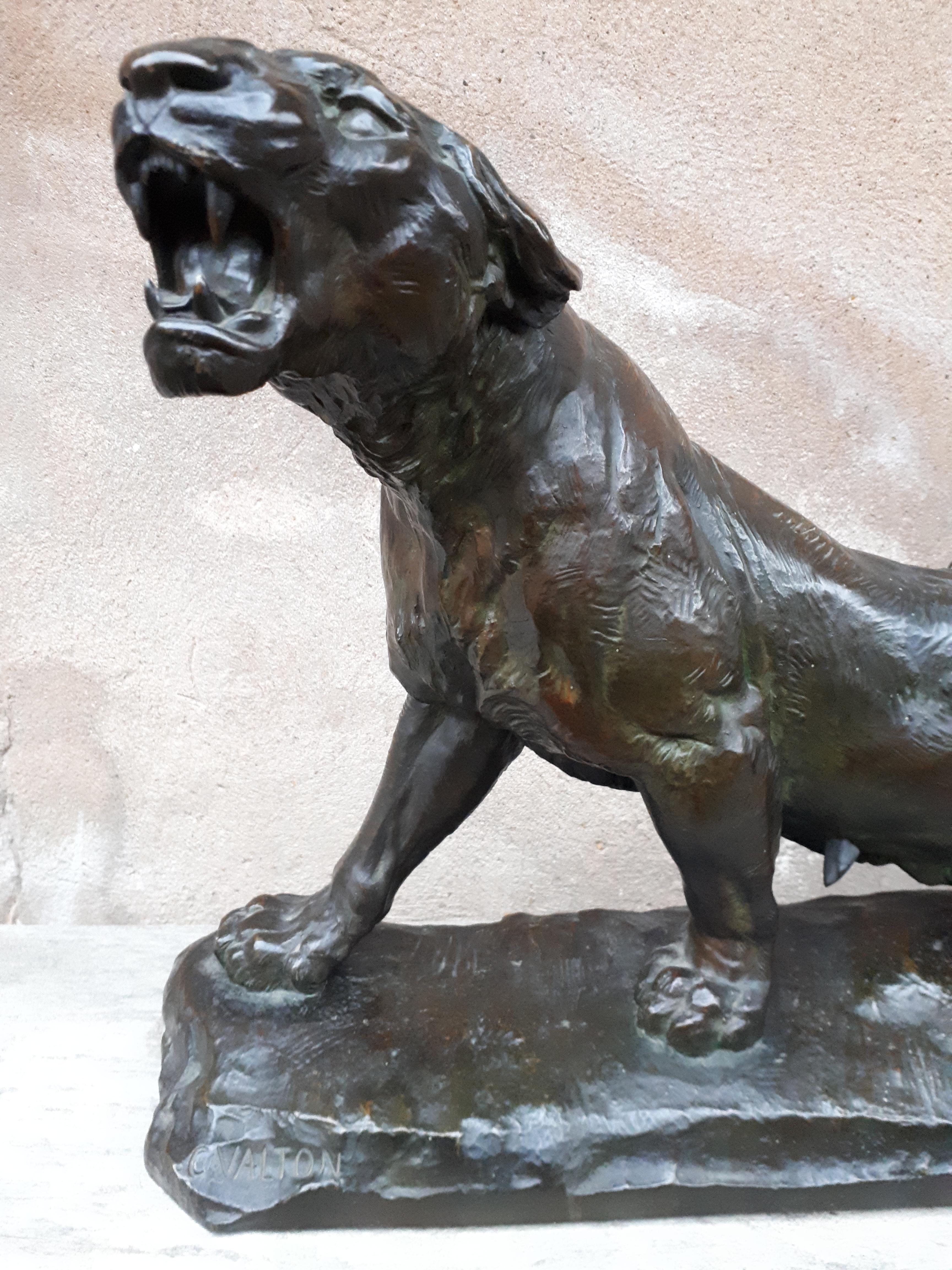 Français Grande sculpture en bronze (68 carats) d'une lionne blessée, par Charles Valton, France  en vente