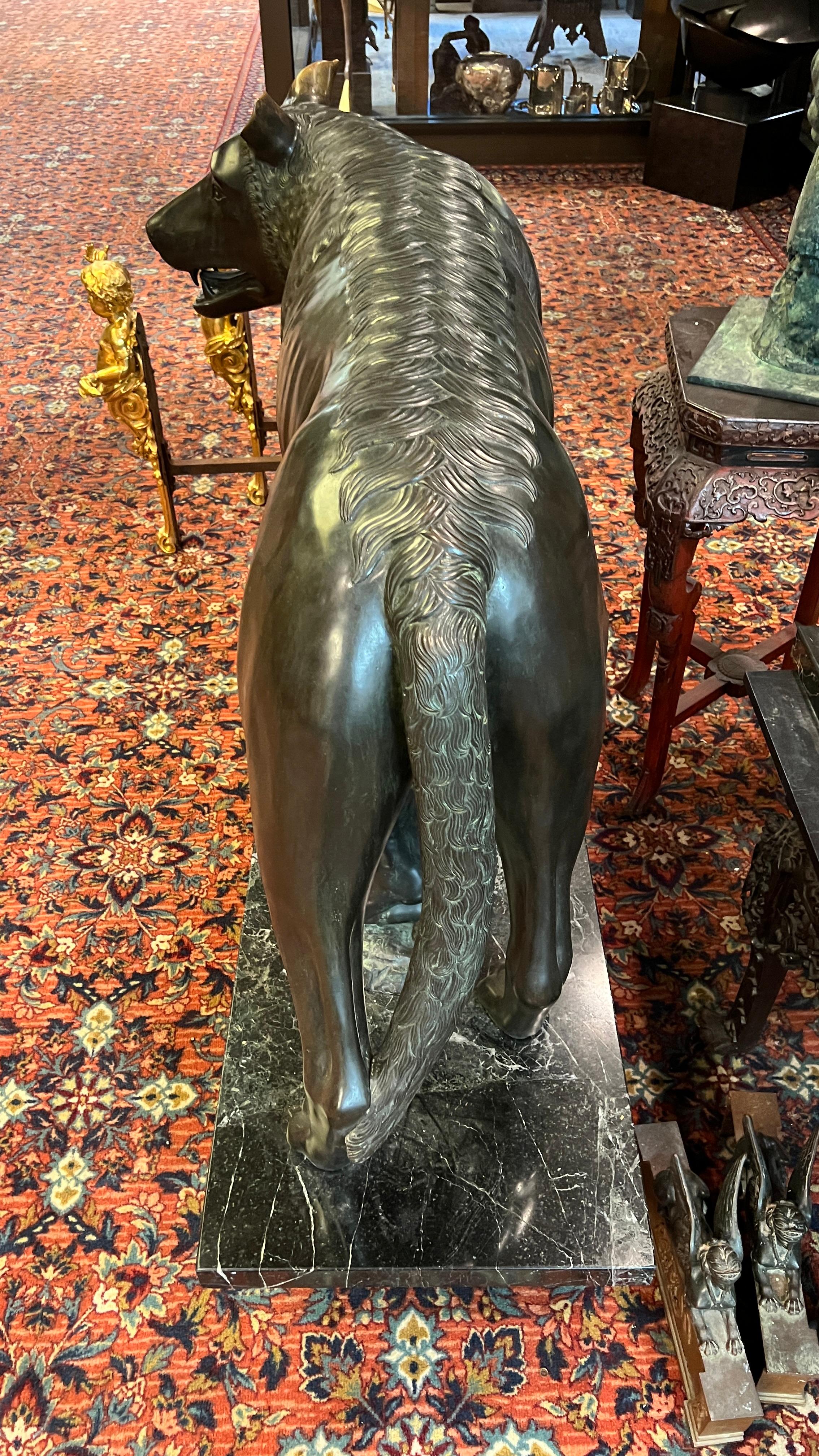 Grande statua in bronzo della lupa capitolina che allatta Romolo e Remo in vendita 2