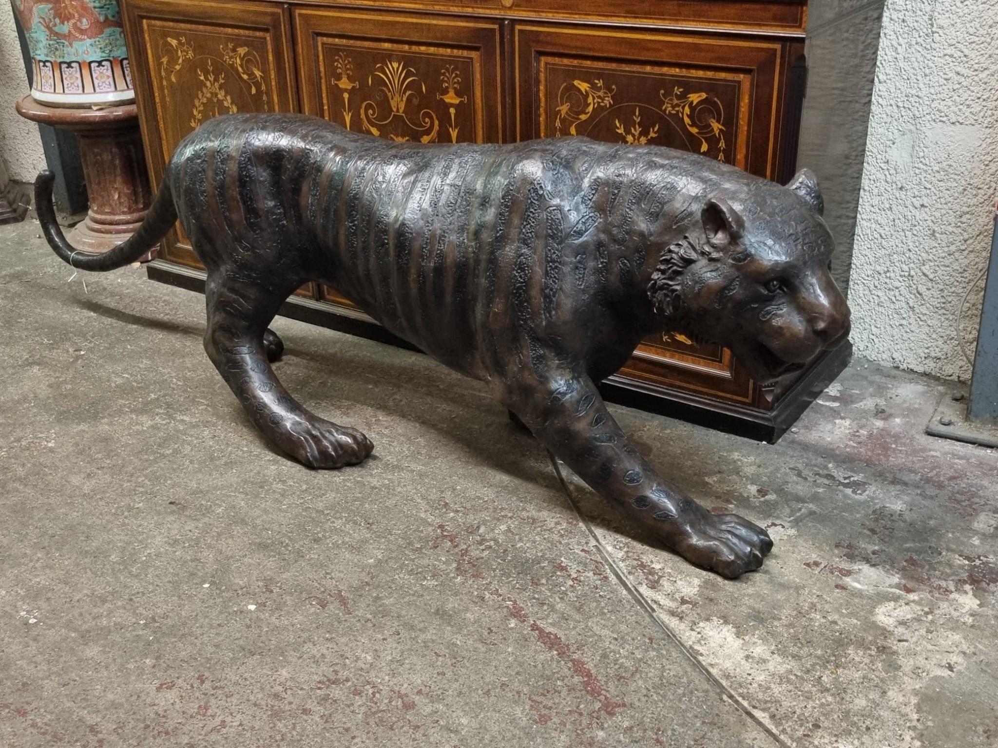 Merveilleuse fonte en bronze d'un chat tigré
Avec plus de deux mentres de la tête à la queue, il est presque grandeur nature.
Disons-le d'emblée, vous ne voudriez pas tomber sur ce produit dans un sentier de la jungle.
J'aime la façon dont les