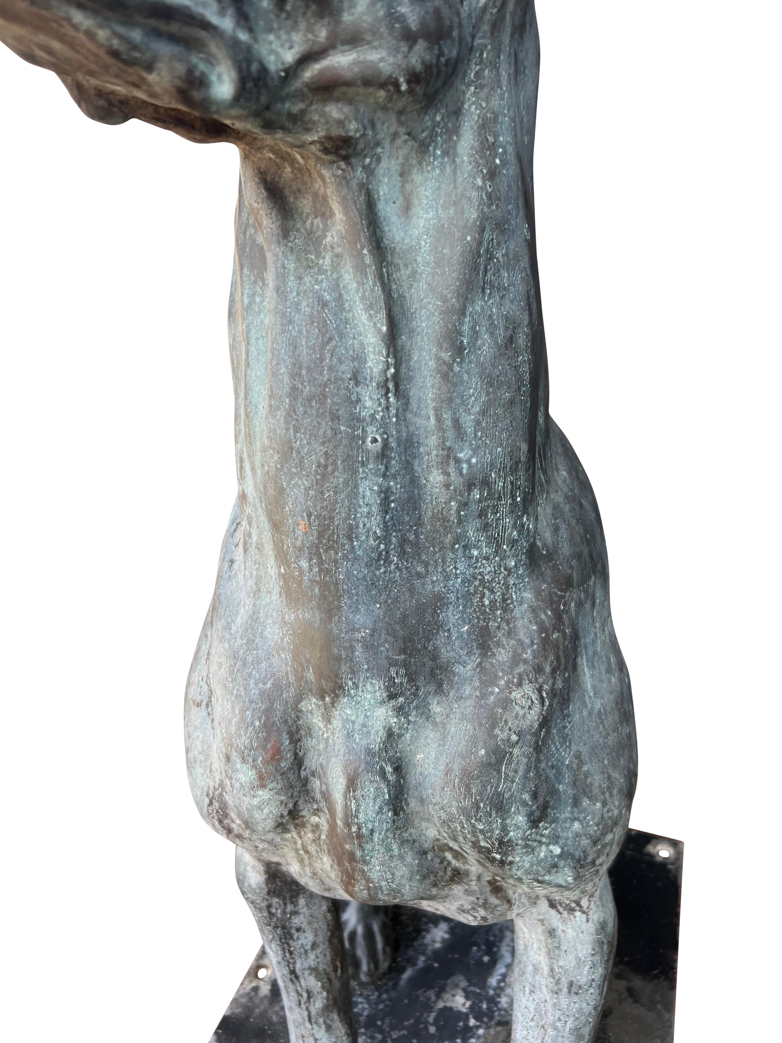 Large Bronze Verdigris Patinated Seated Dog For Sale 6