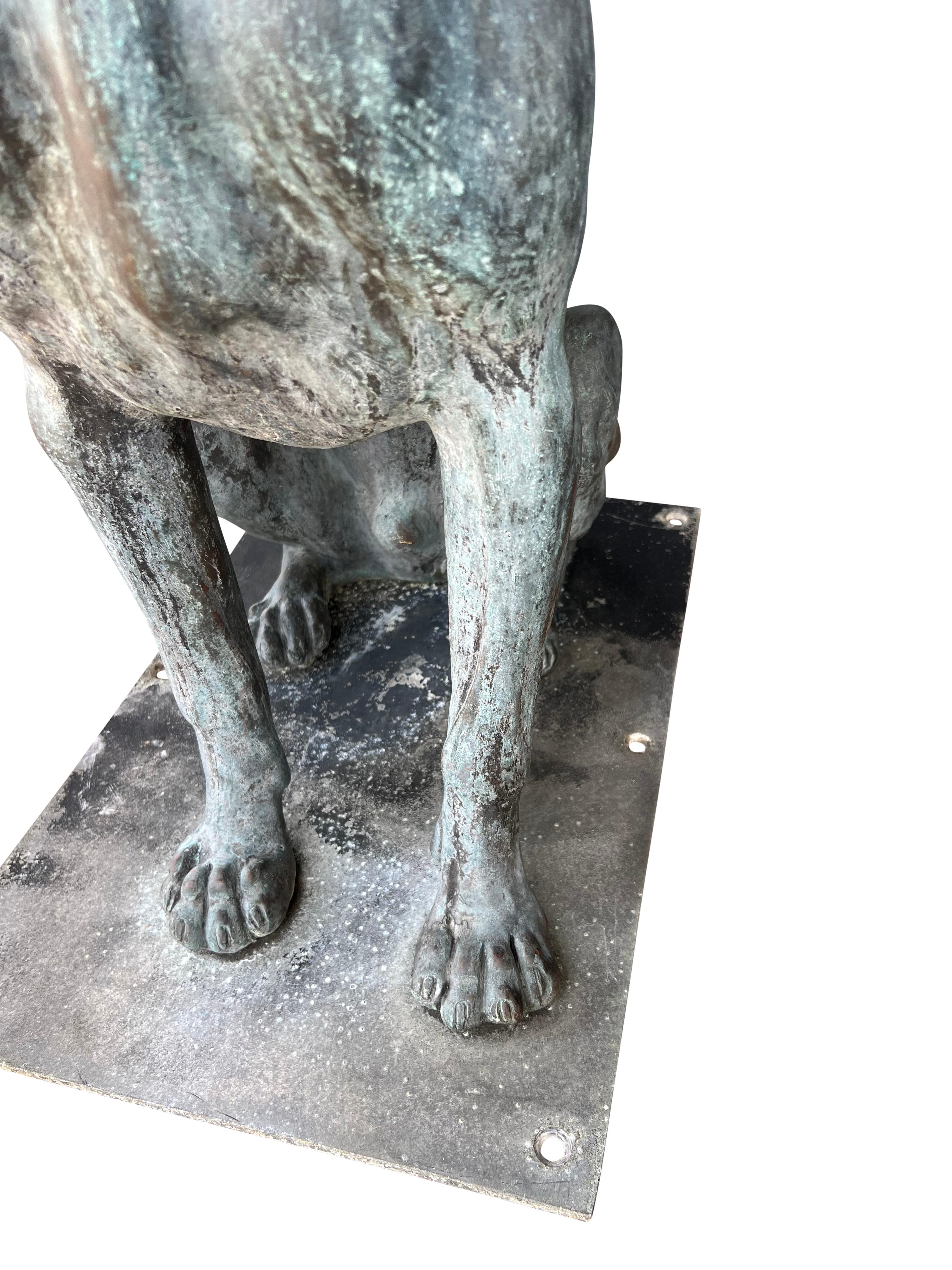 Large Bronze Verdigris Patinated Seated Dog For Sale 7