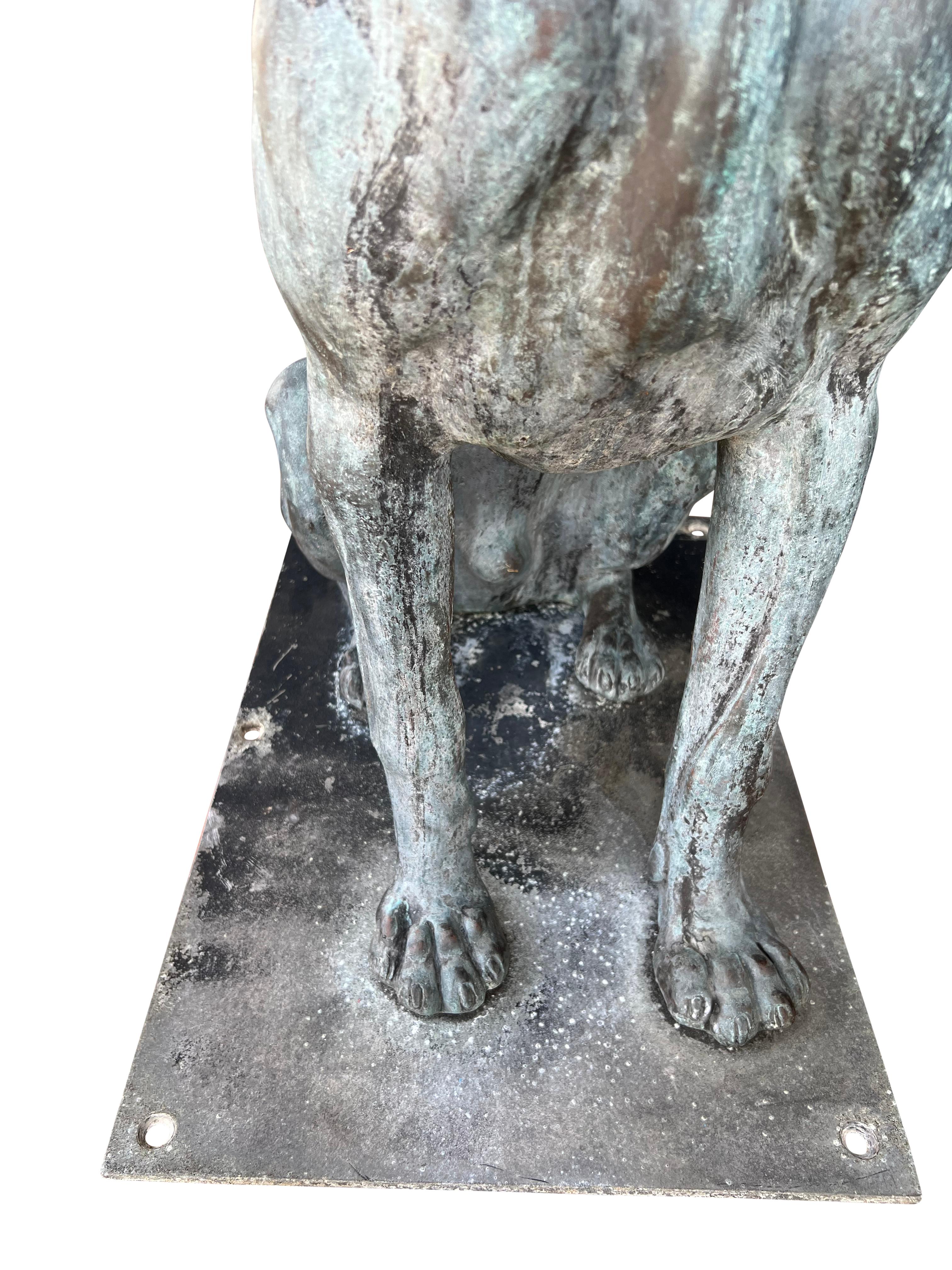 Large Bronze Verdigris Patinated Seated Dog For Sale 8