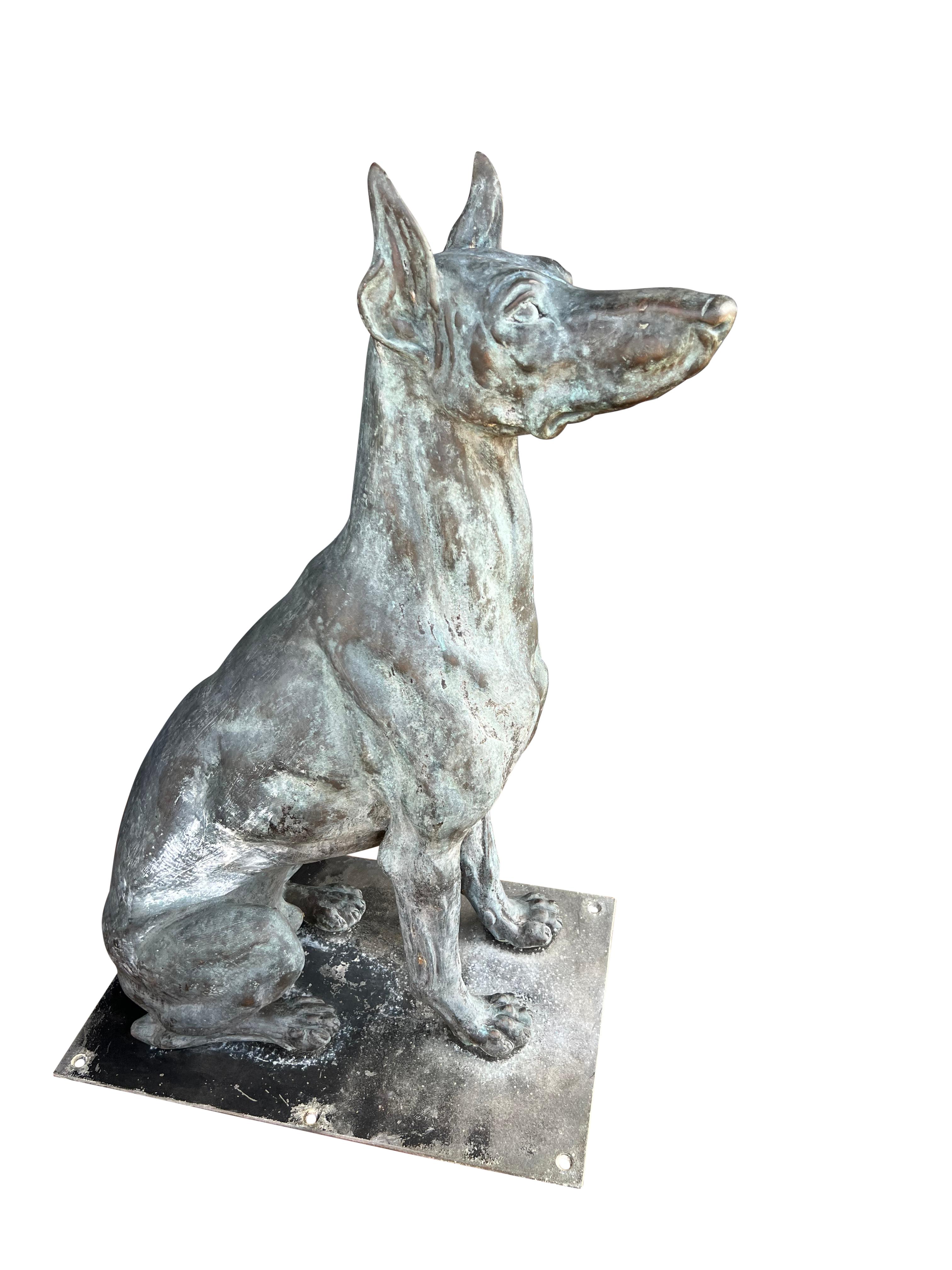 Large Bronze Verdigris Patinated Seated Dog In Good Condition For Sale In Essex, MA