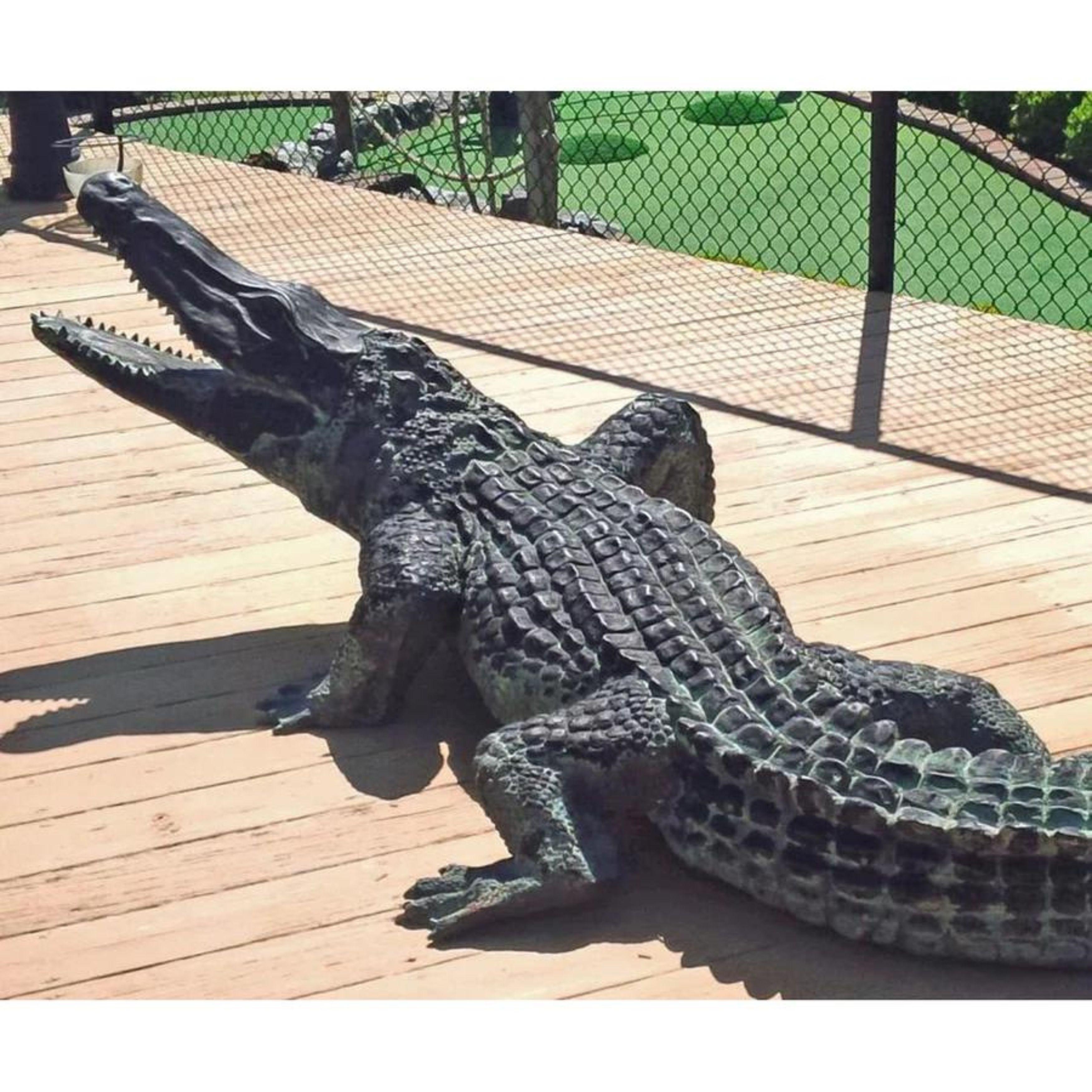 Contemporary Large Bronze Walking Alligator Statue For Sale