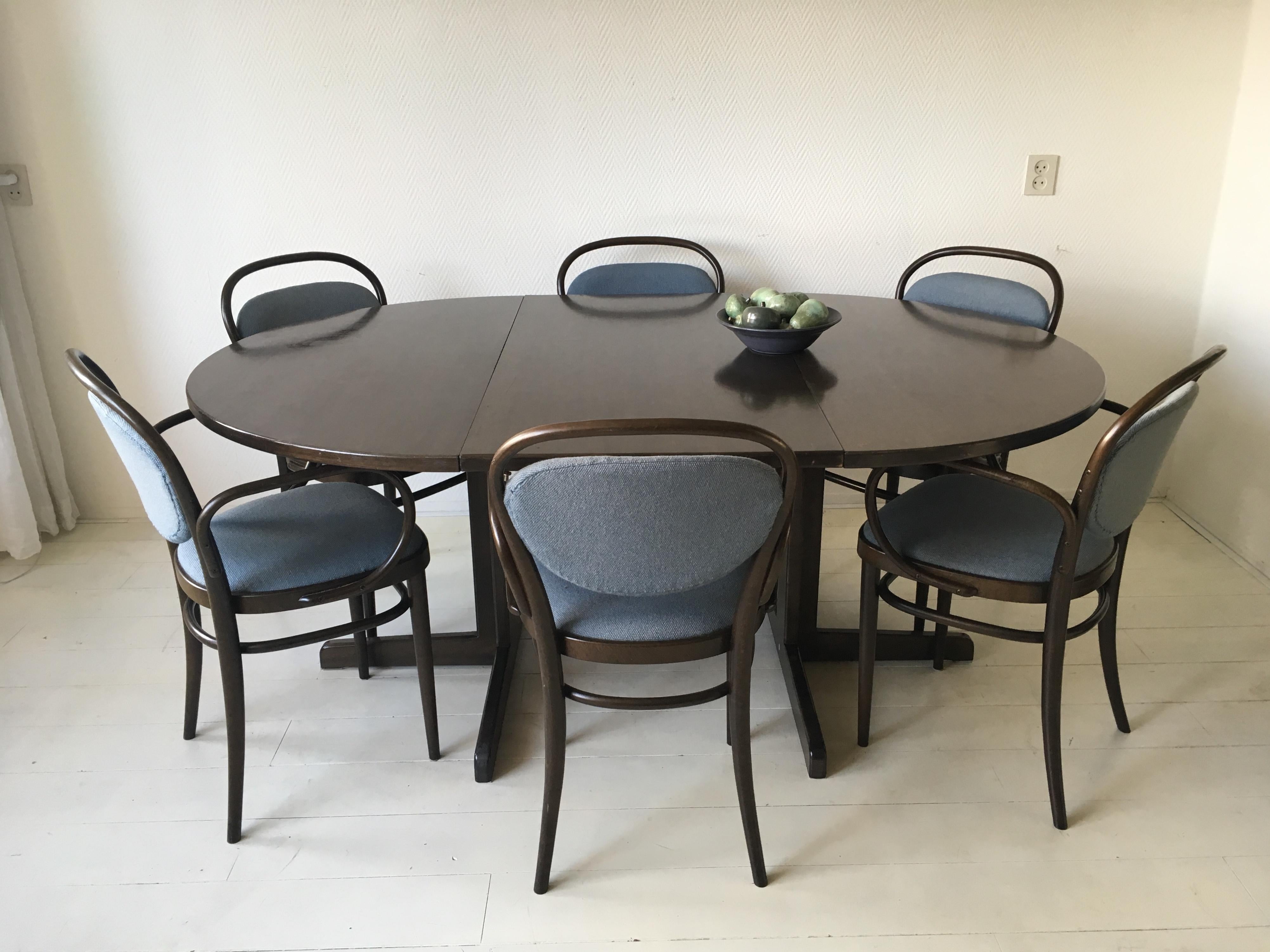 Large Brown and Blue Dining Room Set with Extendable Table, Thonet, circa 1980s 3
