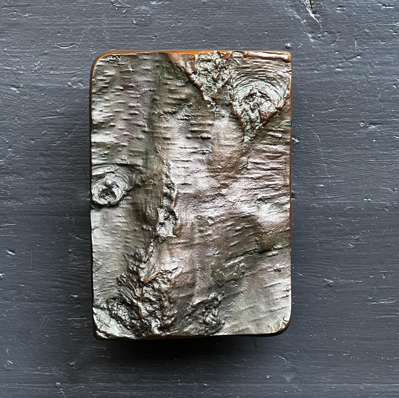 A large and impressive bronze door handle with tree bark design. European, second half 20th century.

The handle is heavily textured, with lots of movement and depth in the design. The relief appears to have been cast from part of a tree, possibly