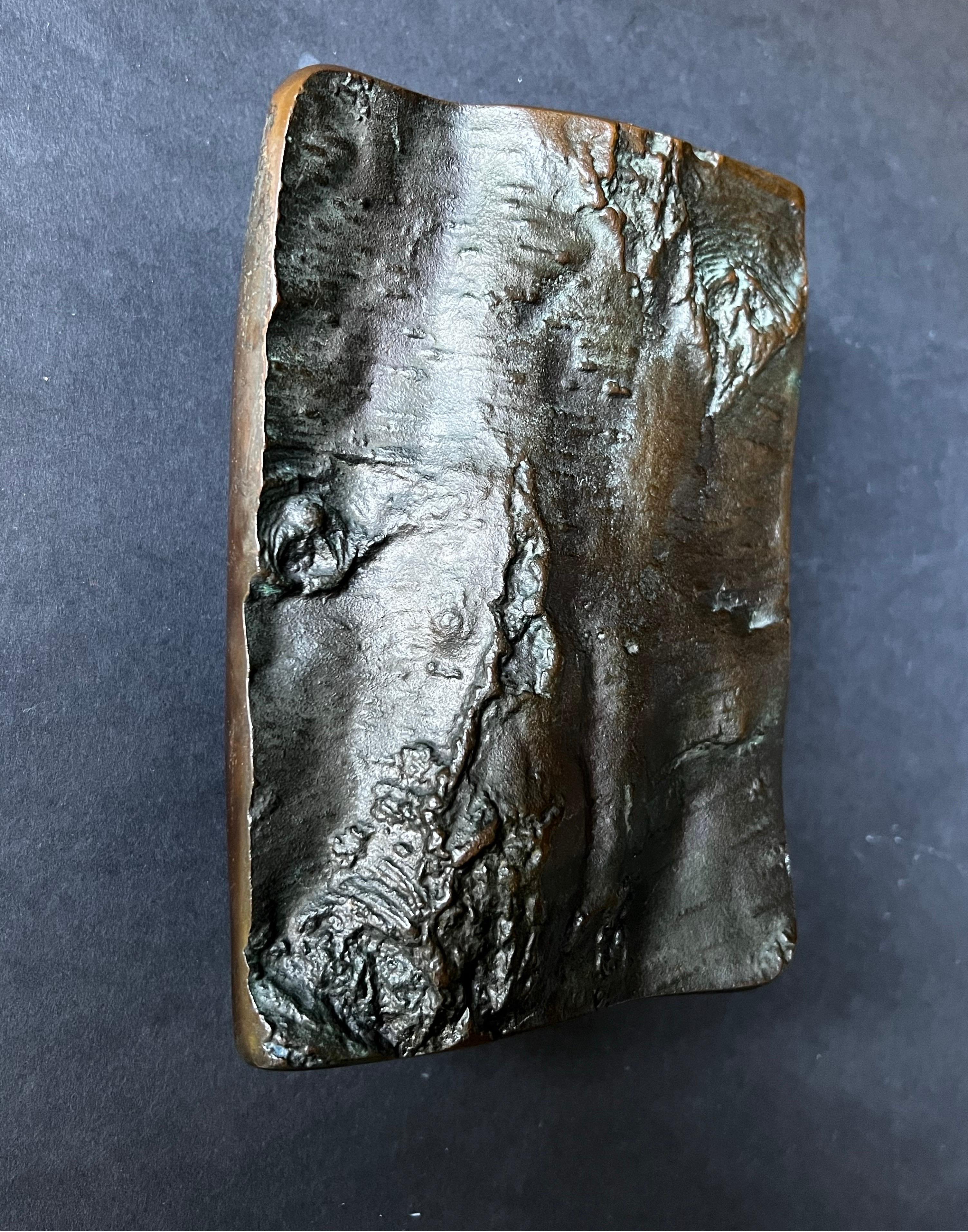 Large Brutalist Bronze Door Handle with Tree Bark Pattern 1
