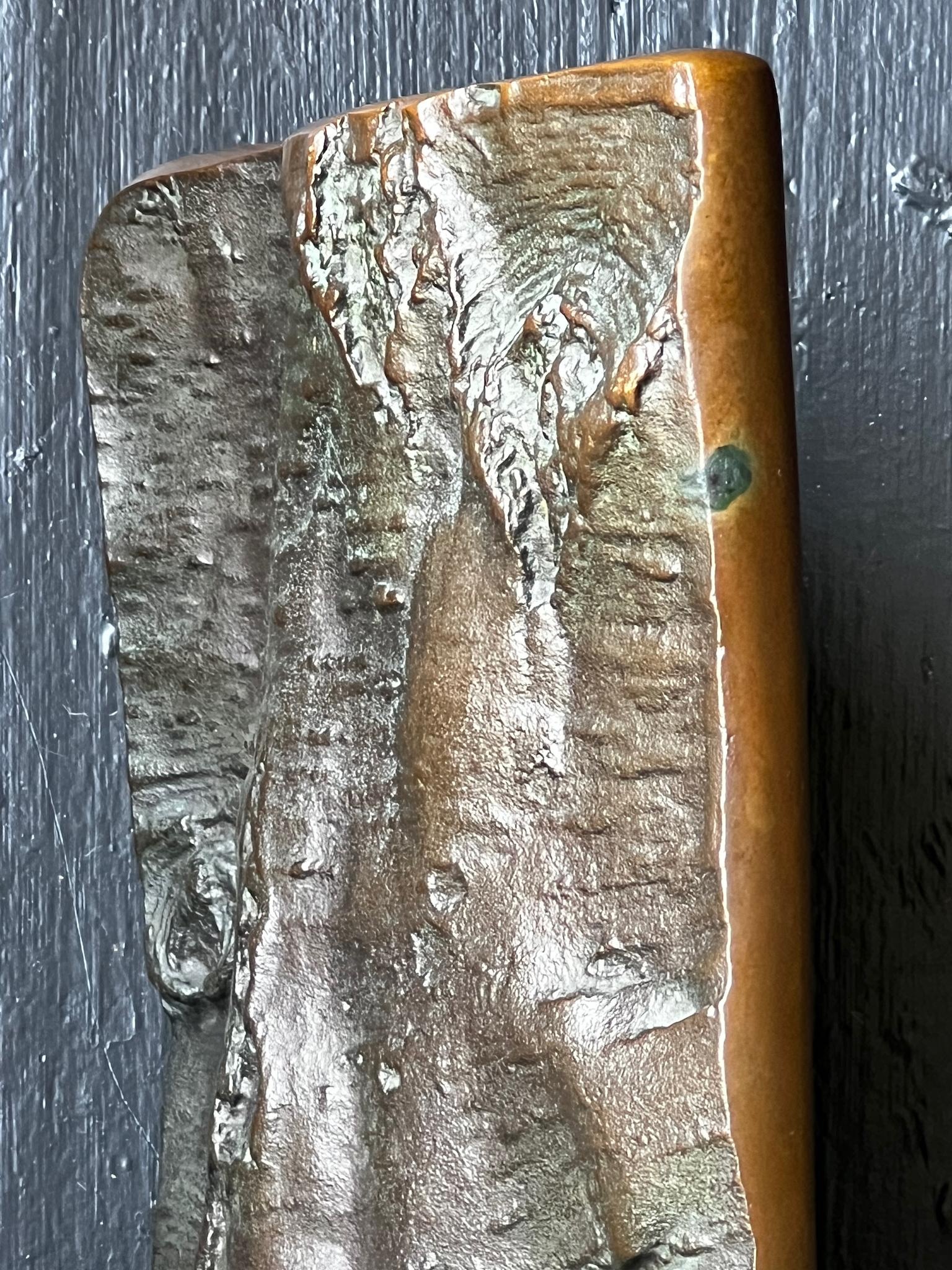 Large Brutalist Bronze Door Handle with Tree Bark Pattern 2