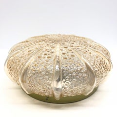 Large Bubble Glass Pattern Limburg Flush Mount Ceiling Light, 1960s