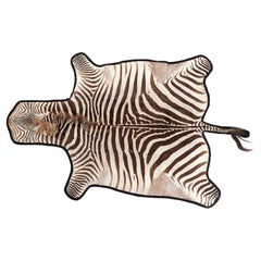 Large Burchell Zebra Hide with Felt Backing