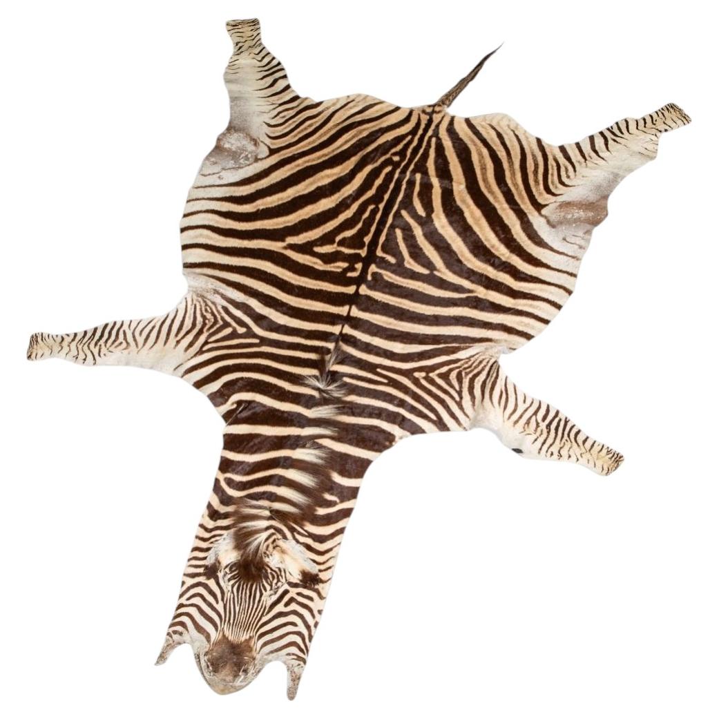Large Burchell's Zebra Hide (Equus quagga burchellii), Africa, 20th Century