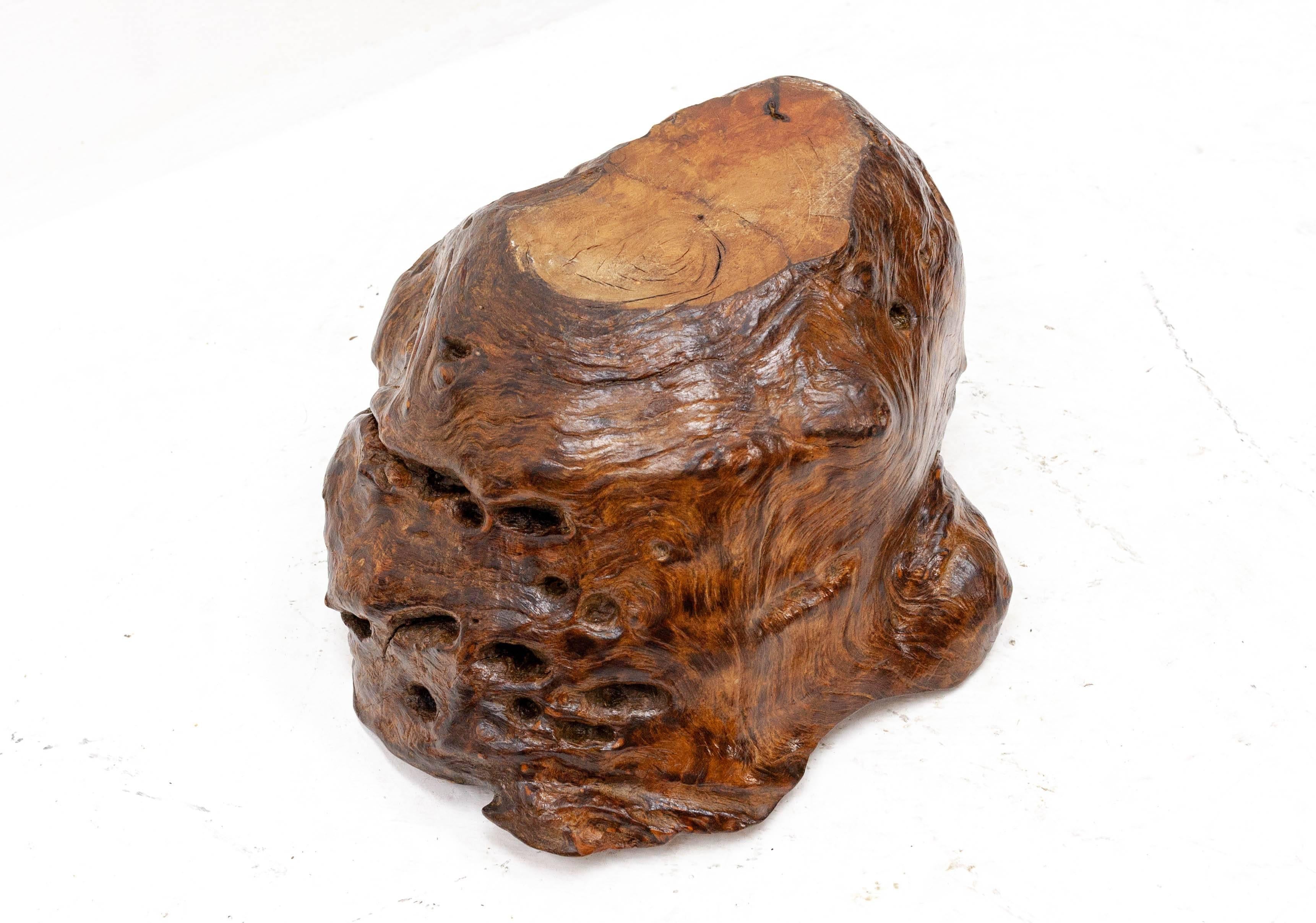Large Burl Walnut Bowl 2