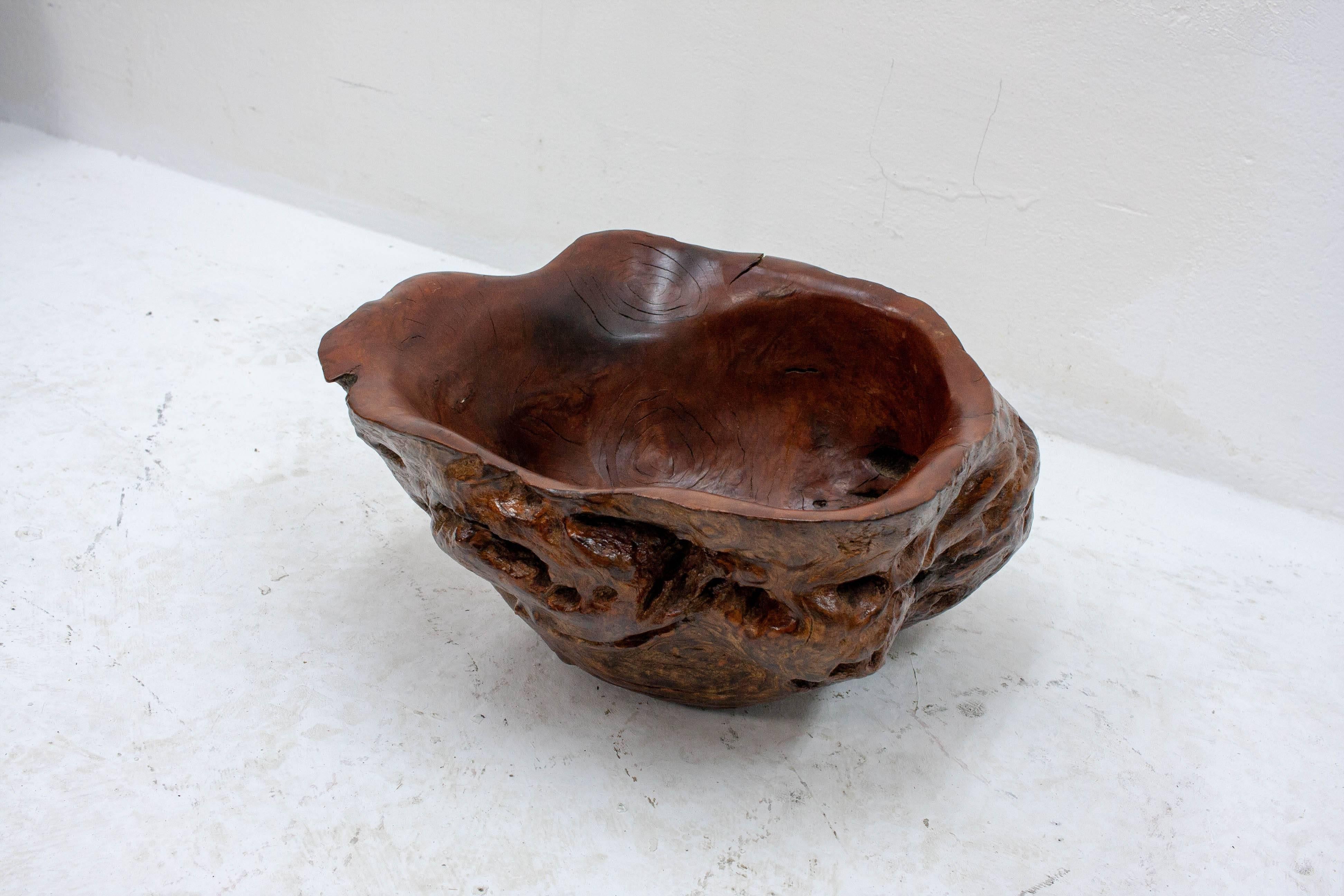 burl walnut billings missouri