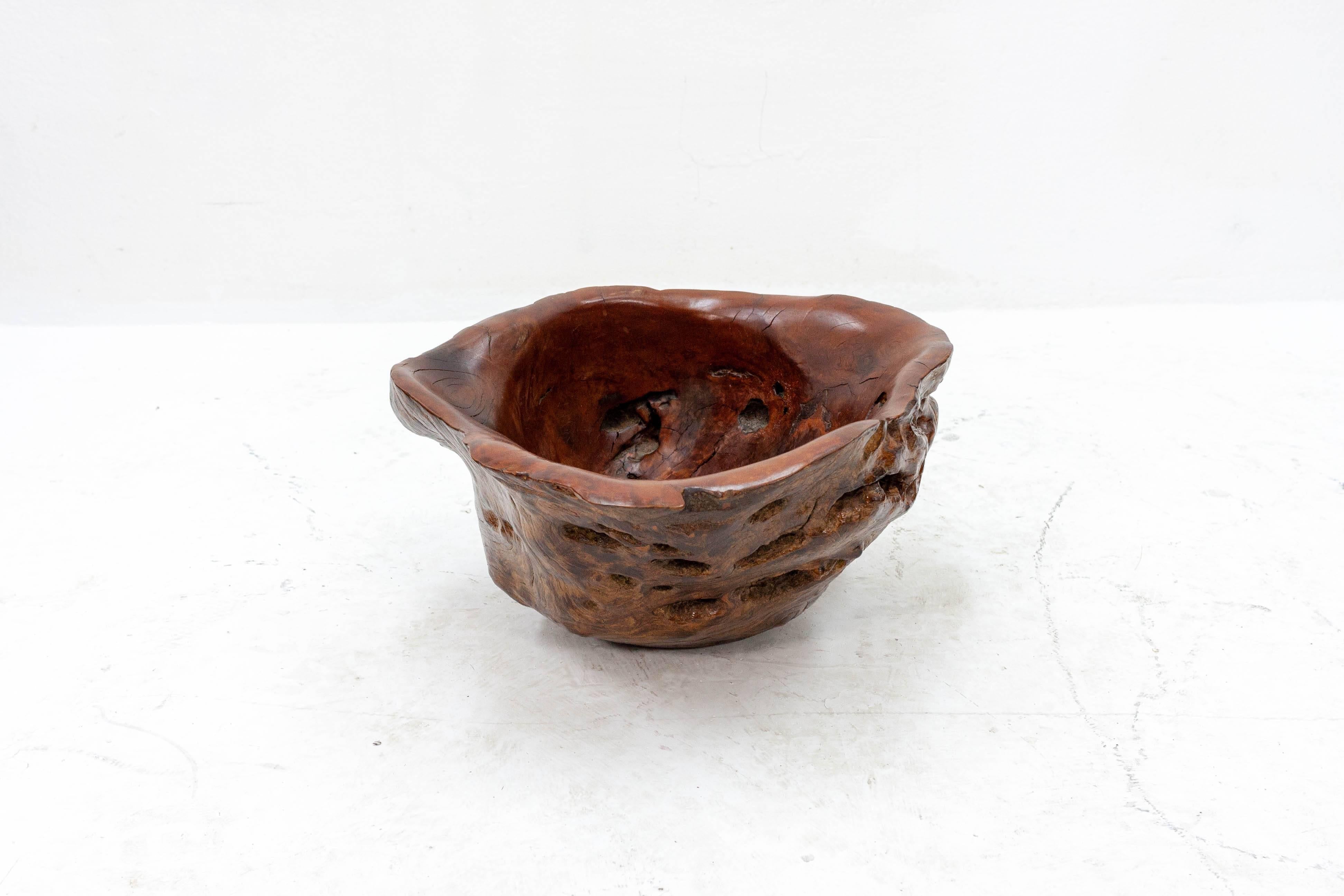 Scandinavian Large Burl Walnut Bowl