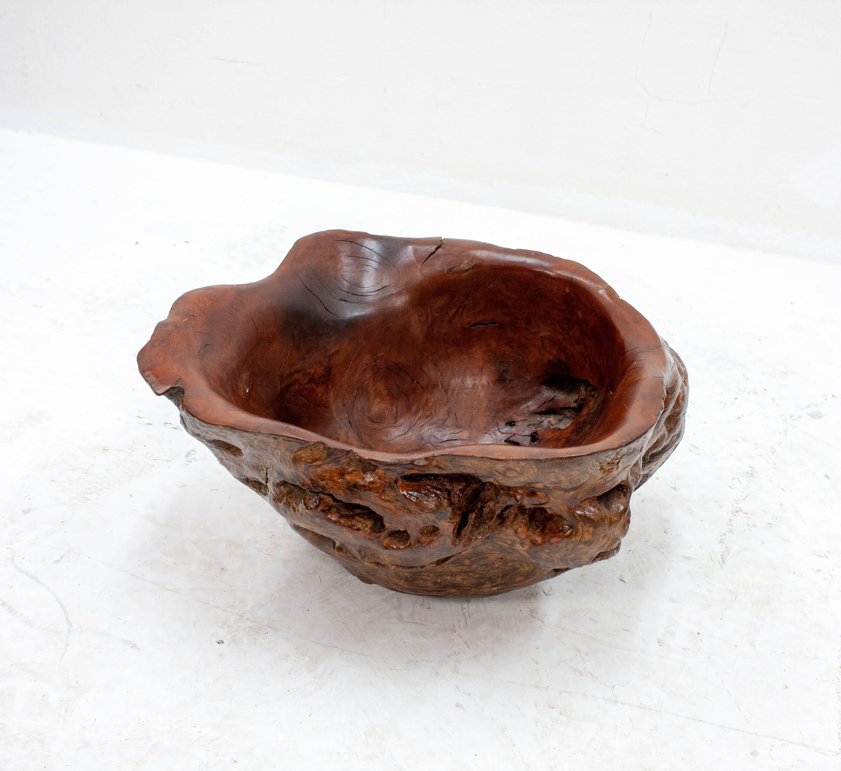 Large Burl Walnut Bowl In Good Condition In Den Haag, NL
