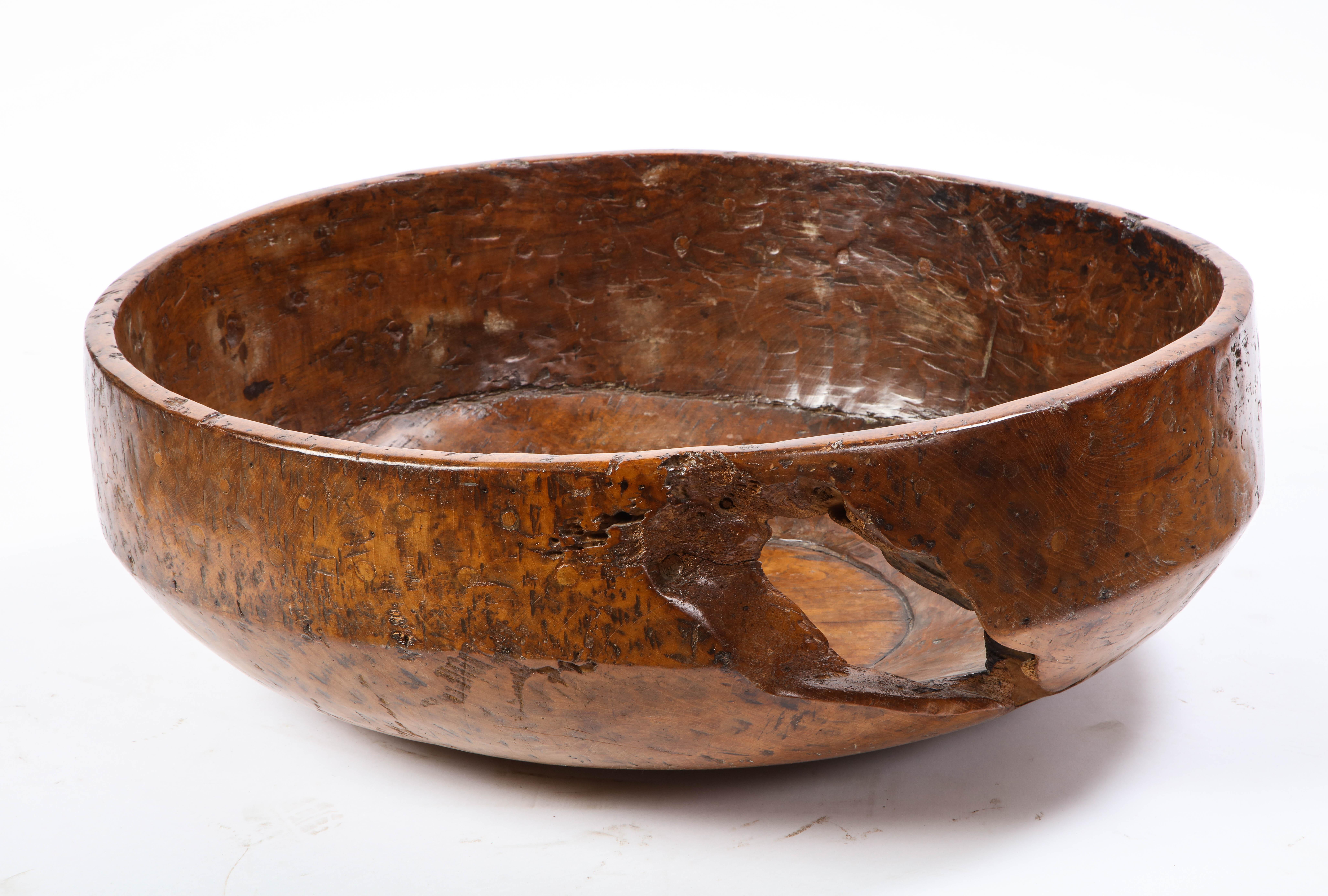 Large Burl Wood Bowl with 31 Metal Spheres, 20th Century 6