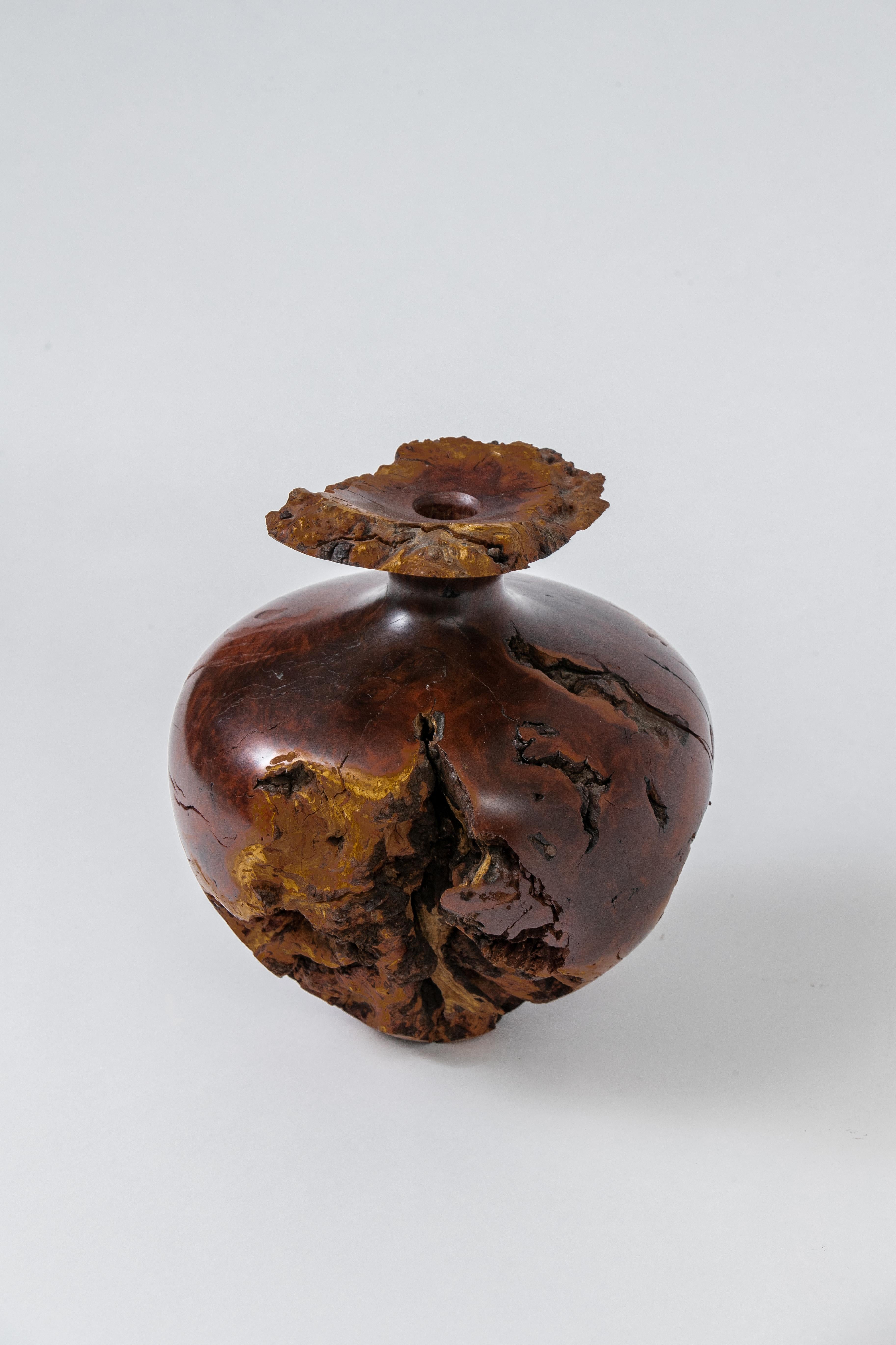 Large Burl Wood Bud Vase, USA, 1960s 1