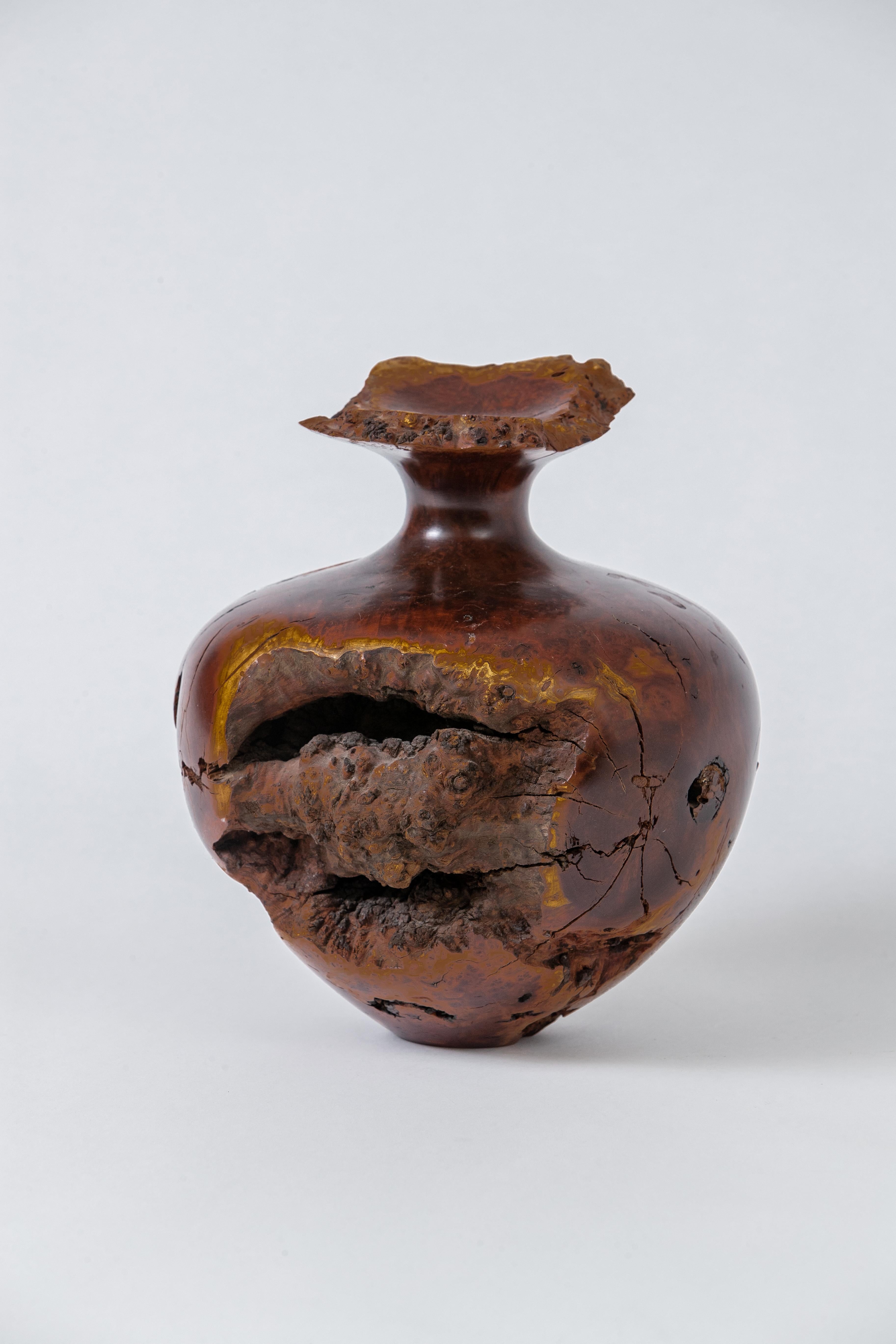 burl wood vase