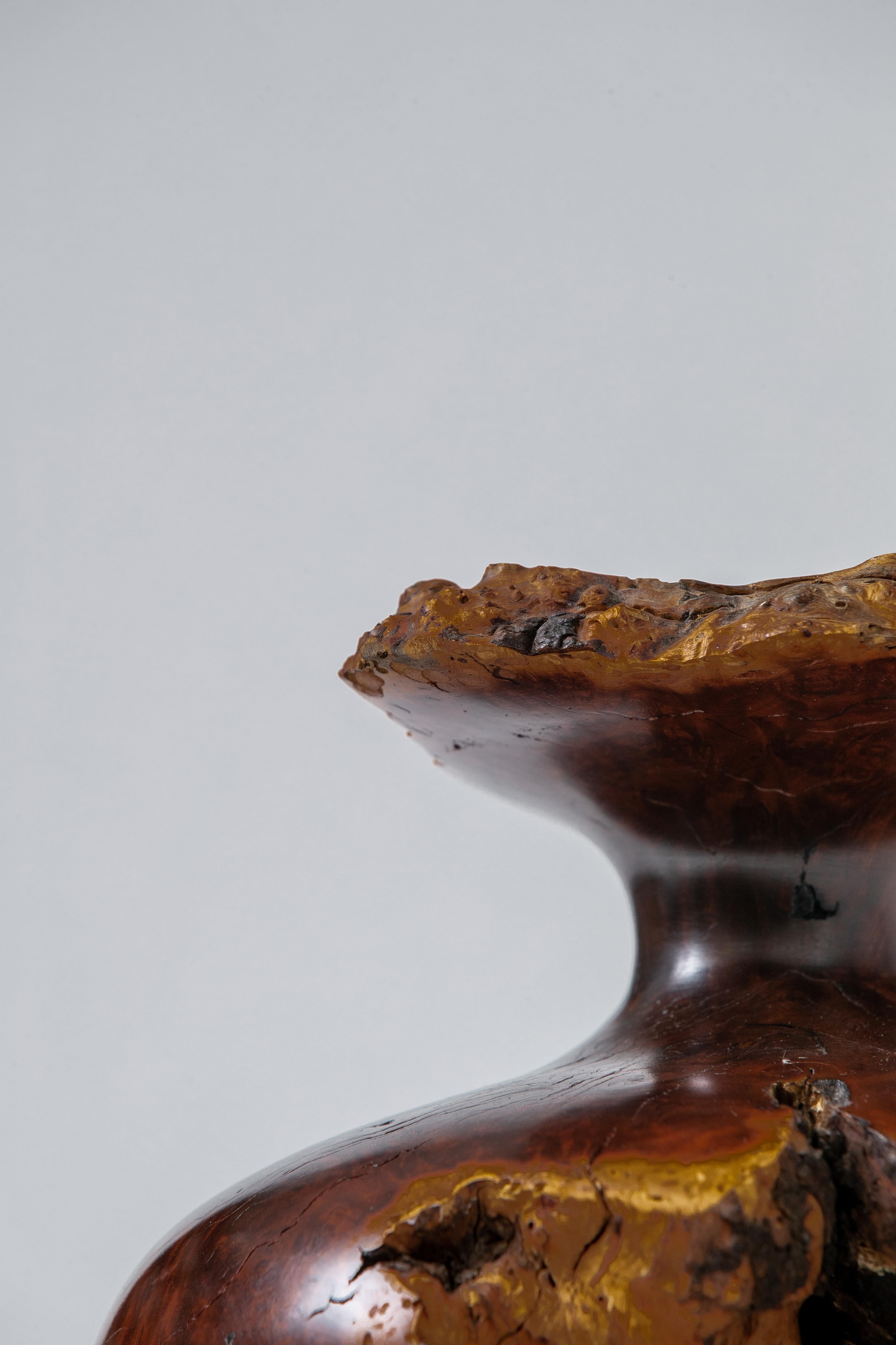 Mid-20th Century Large Burl Wood Bud Vase, USA, 1960s