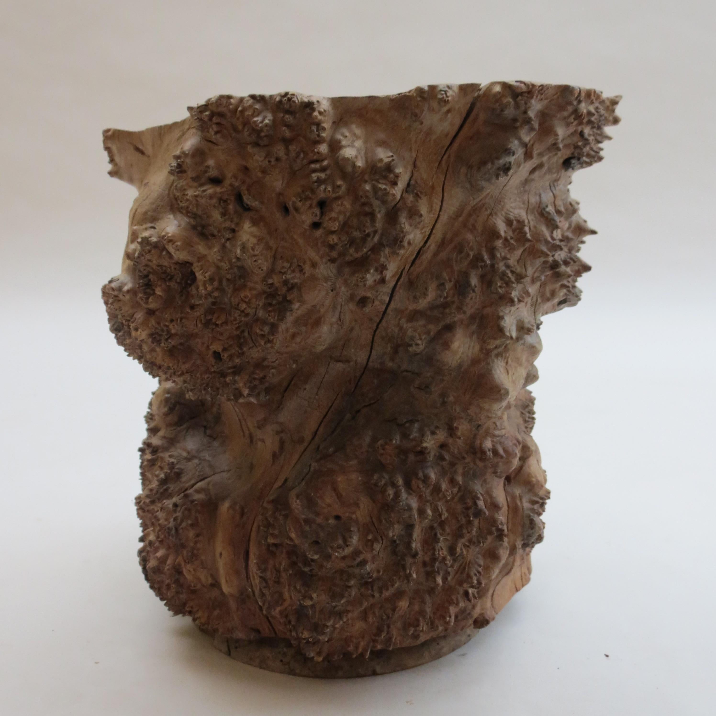 Large Hand Produced Burr Elm Root wood Brush Pot, 1980s In Good Condition In Stow on the Wold, GB
