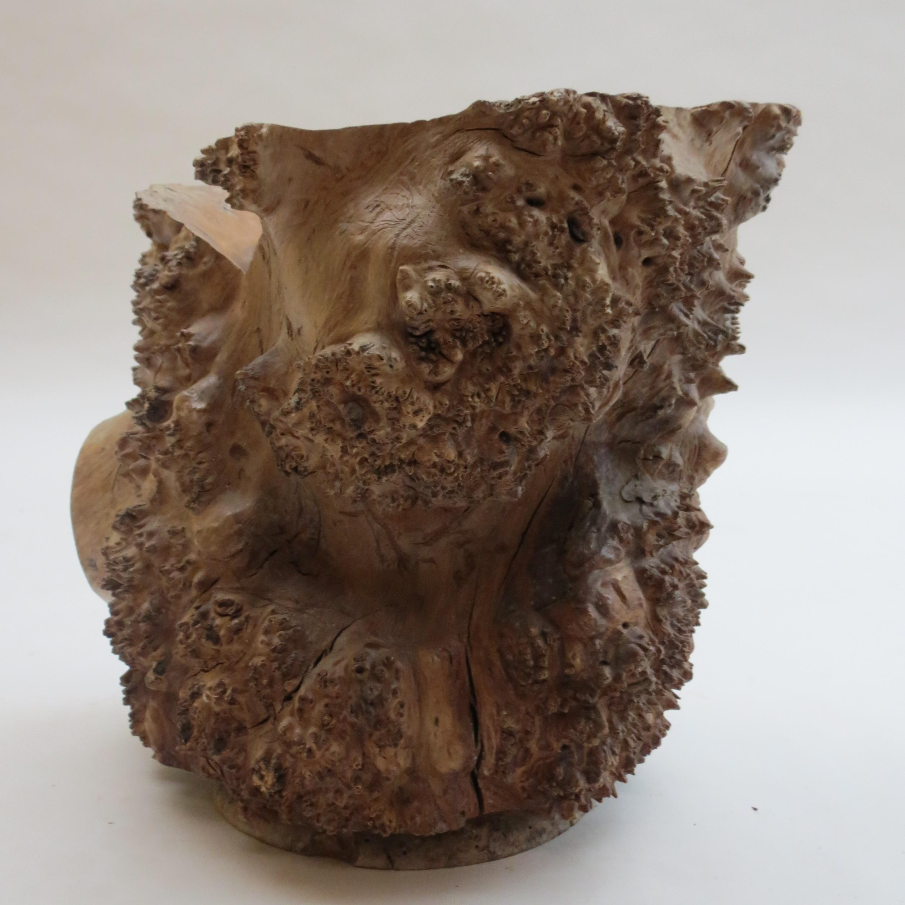 20th Century Large Hand Produced Burr Elm Root wood Brush Pot, 1980s