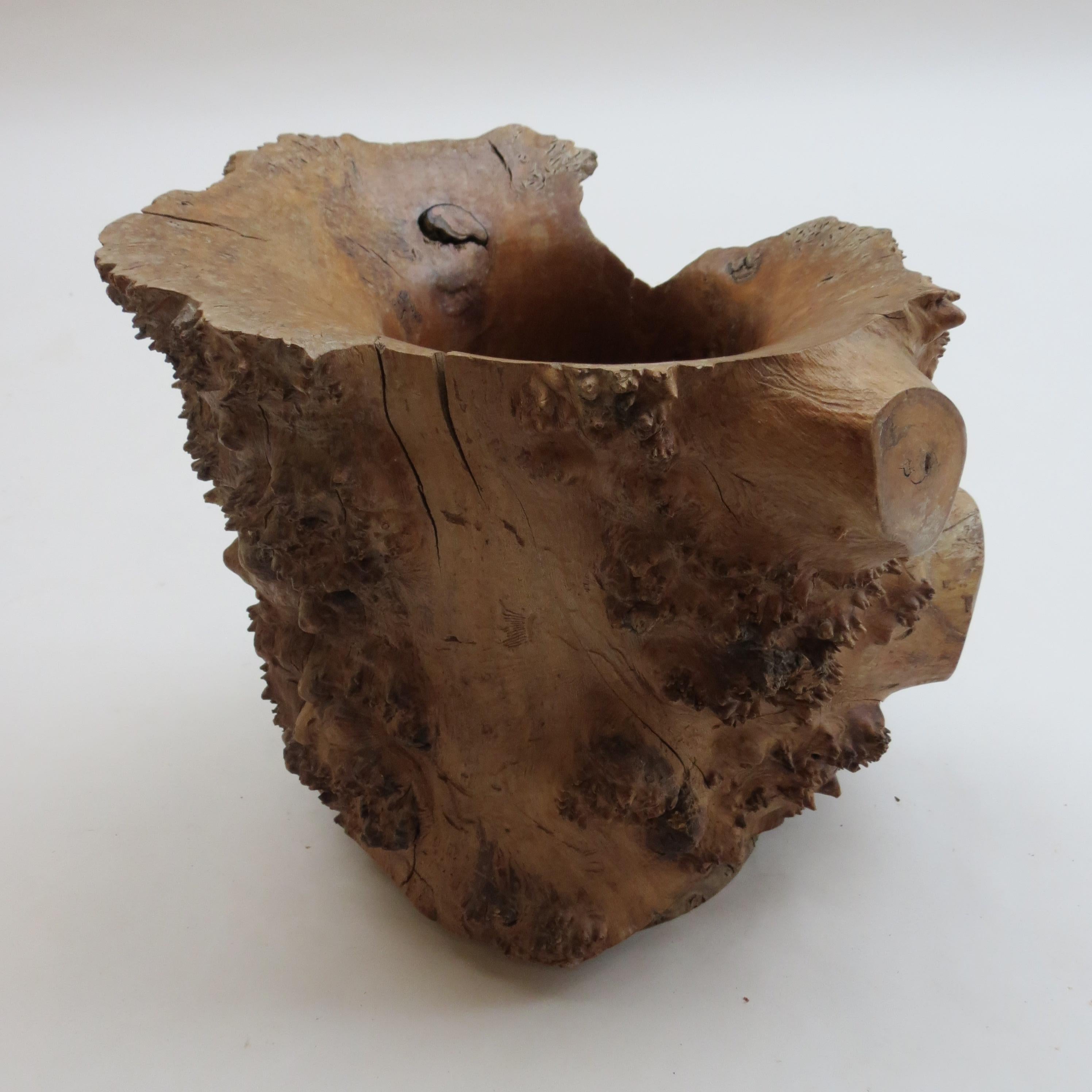 Large Hand Produced Burr Elm Root wood Brush Pot, 1980s 1